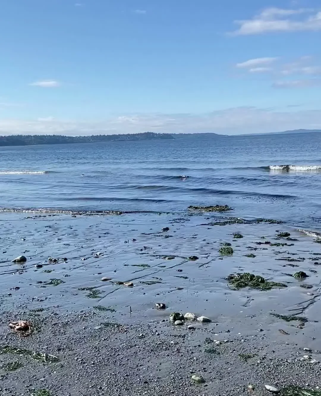 🌊 Week 3 of reset month: reflecting + celebrating my new fiscal year (aka birthday week).⁠
⁠
💫 Filled it with friends, reflection, indulgence + laughter. Had a quiet moment walking the beach, feeling the breeze, smelling the salt, being present - c