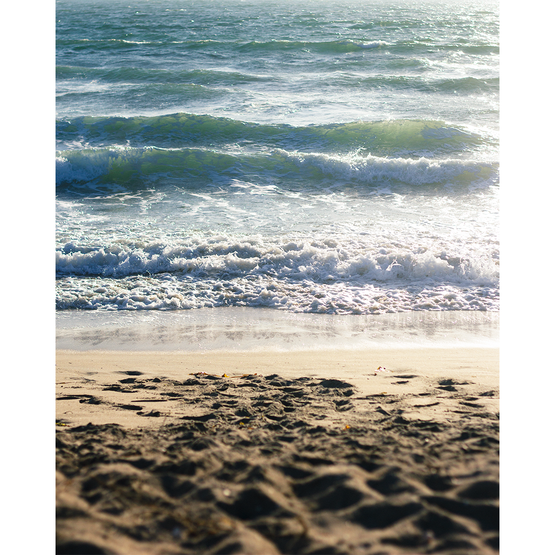 Beachwaves-color-websq.png