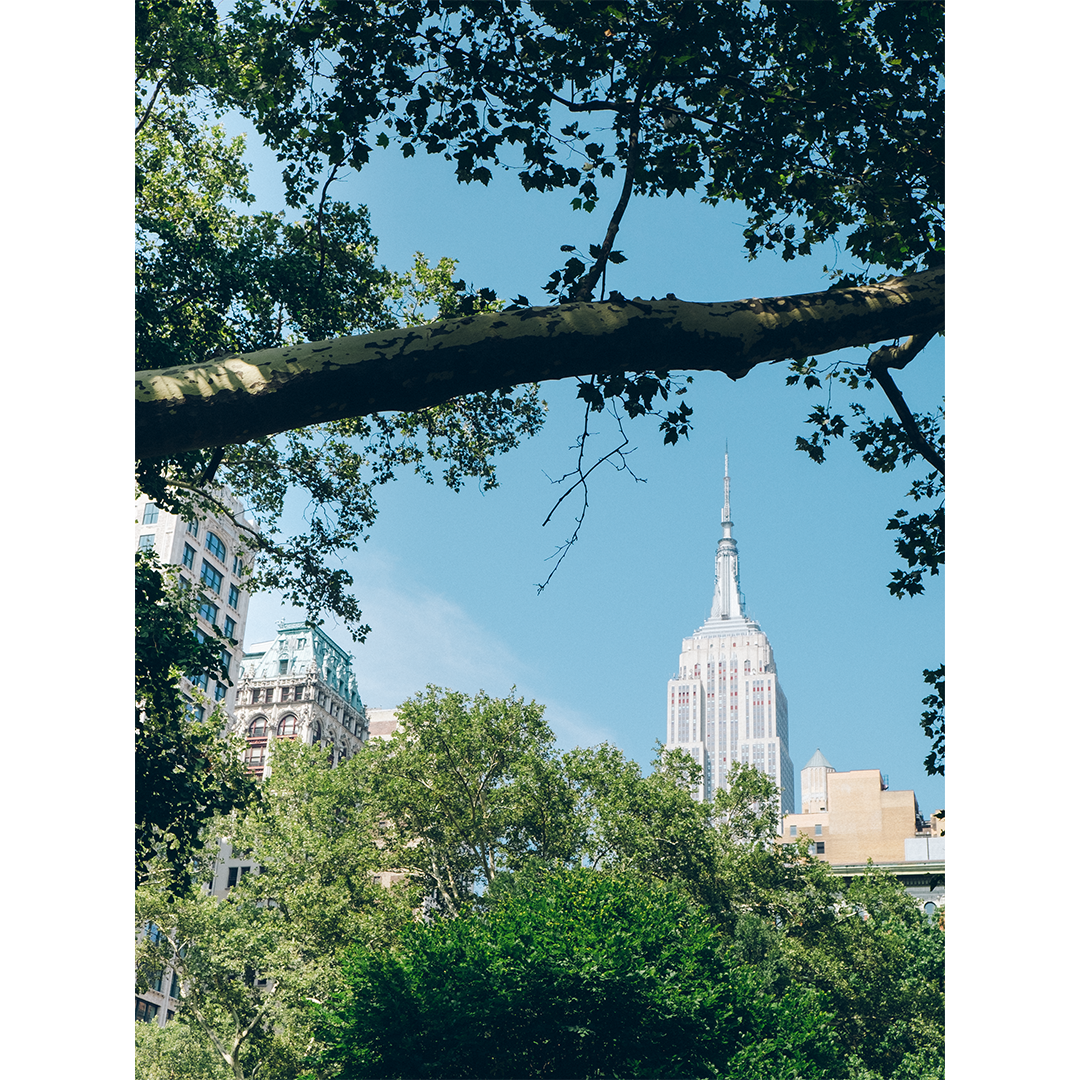 NYCitythroughthetrees-web1080.png