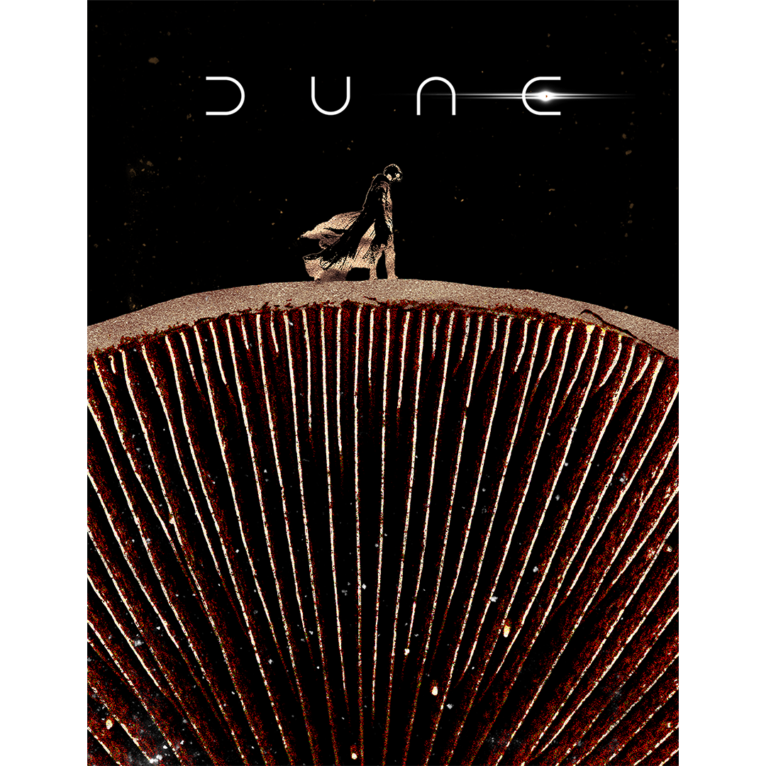 dune-webcover-1080.png