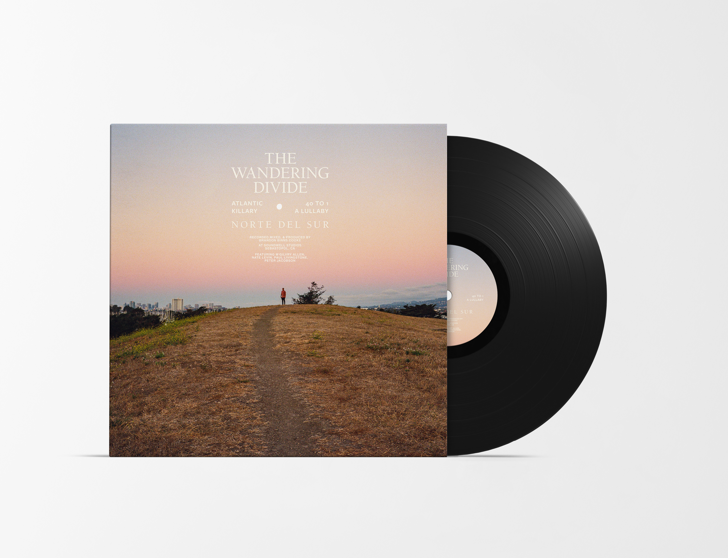 02_Vinyl Mock-up 4_TWD.png
