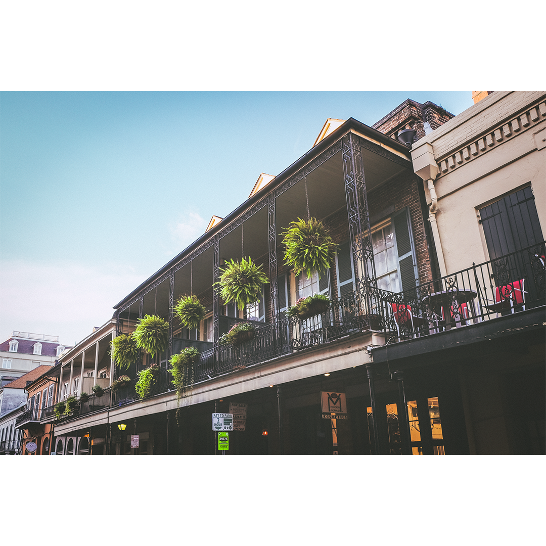 New-Orleans-DSCF3676-web1080.png