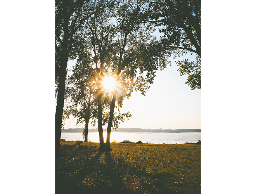 Quiet Light in the Park, Memphis