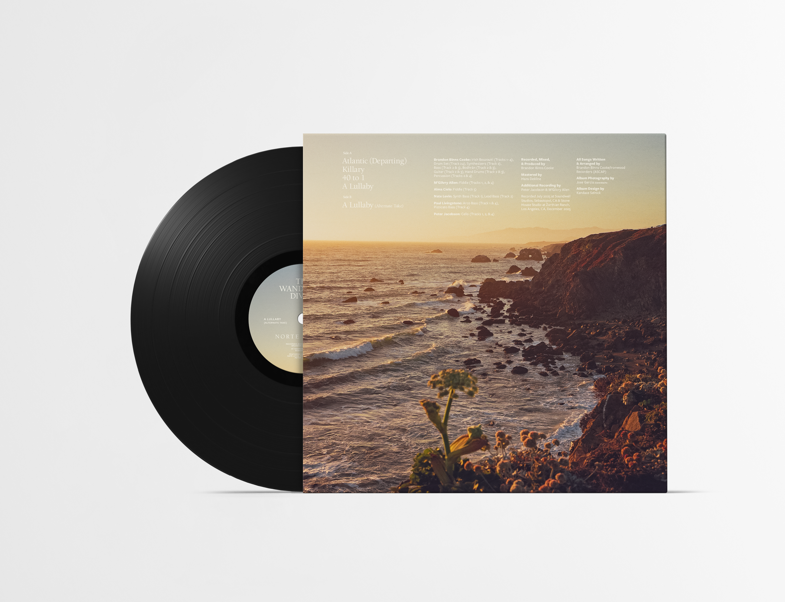 02_Vinyl Mock-up 4_TWD-BACK-3.png