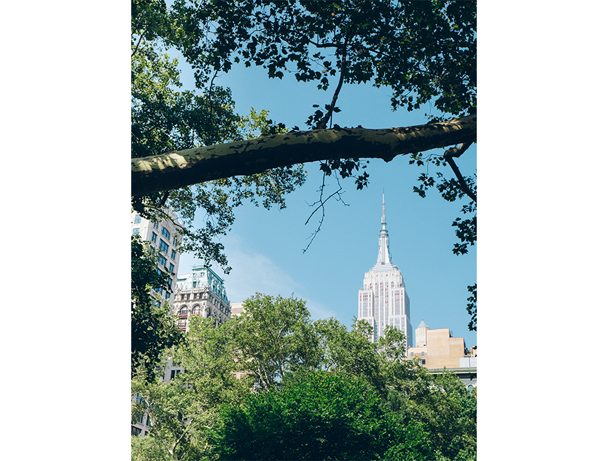 NYC Through the Trees