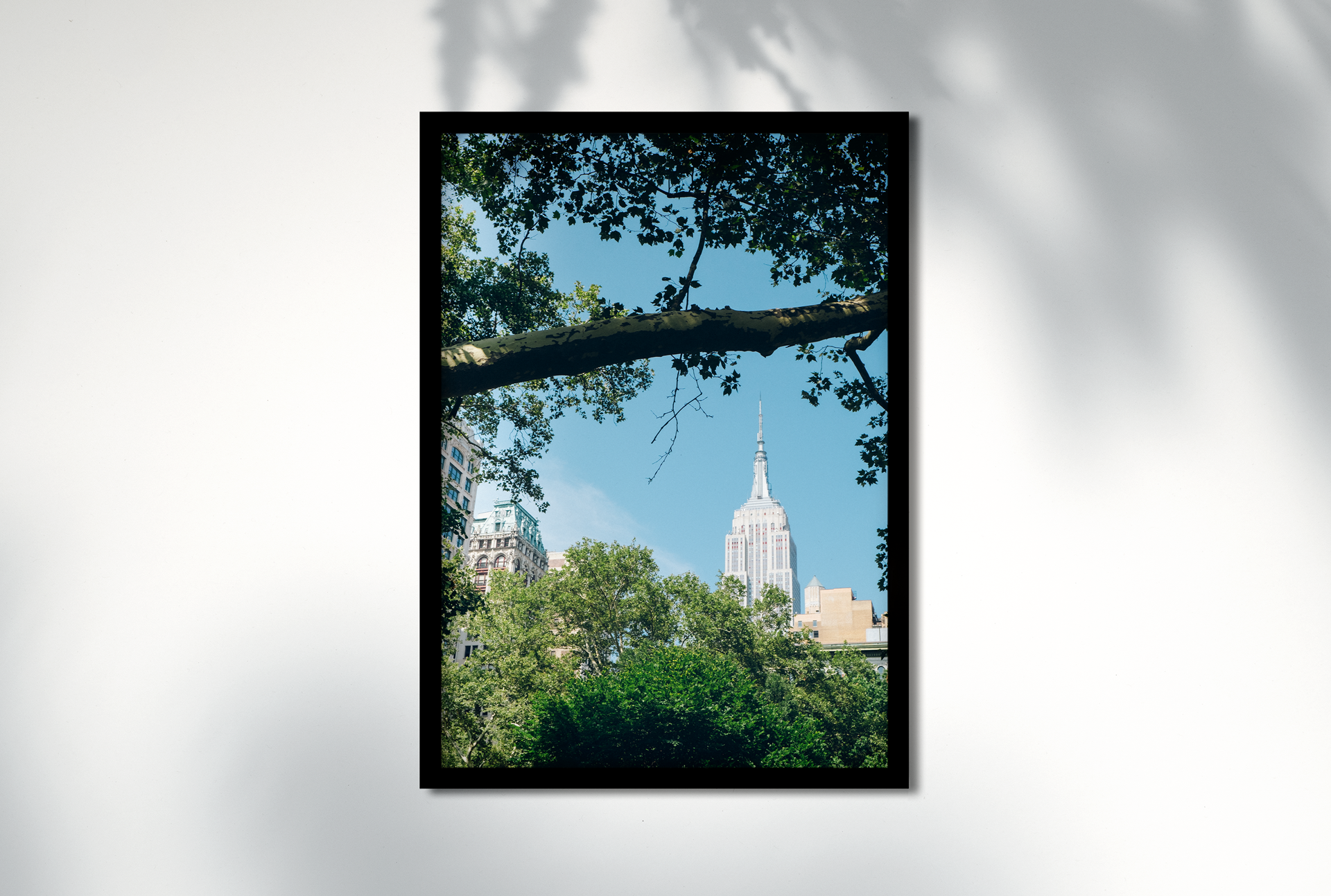 NYCitythroughthetrees-webmock4.png