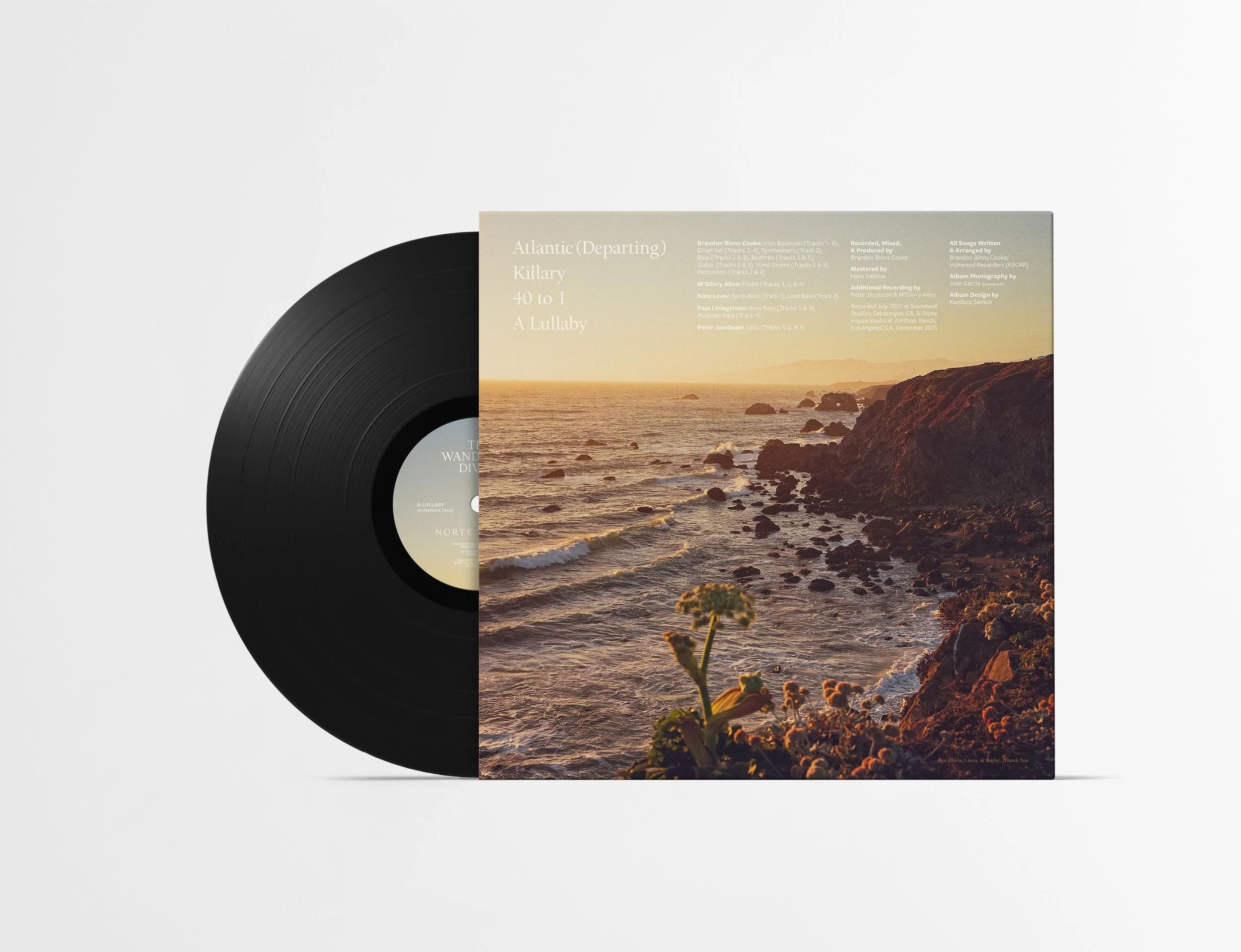02_Vinyl-Mock-up-4_TWD-BACK.jpg