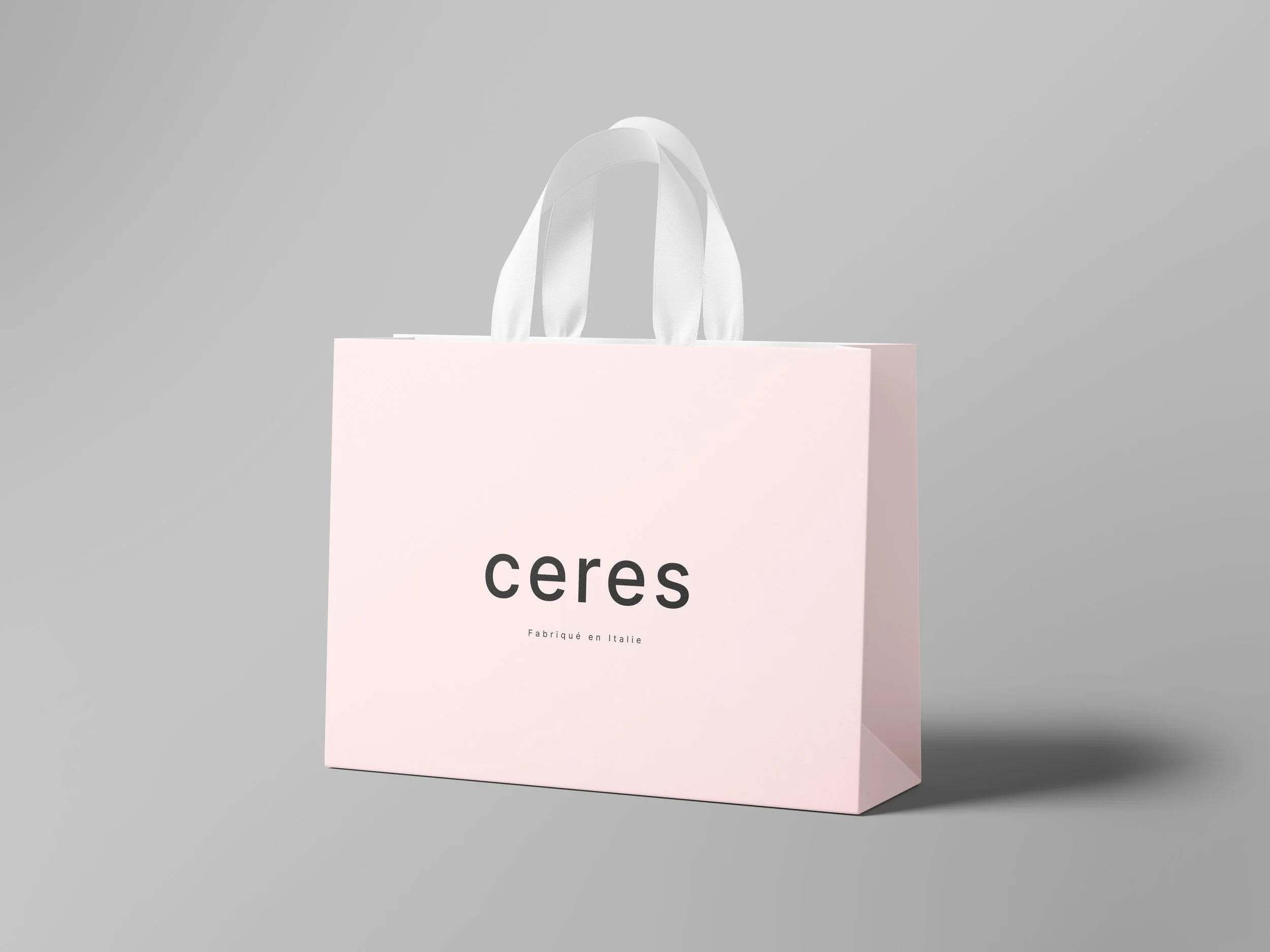 Bag.jpg