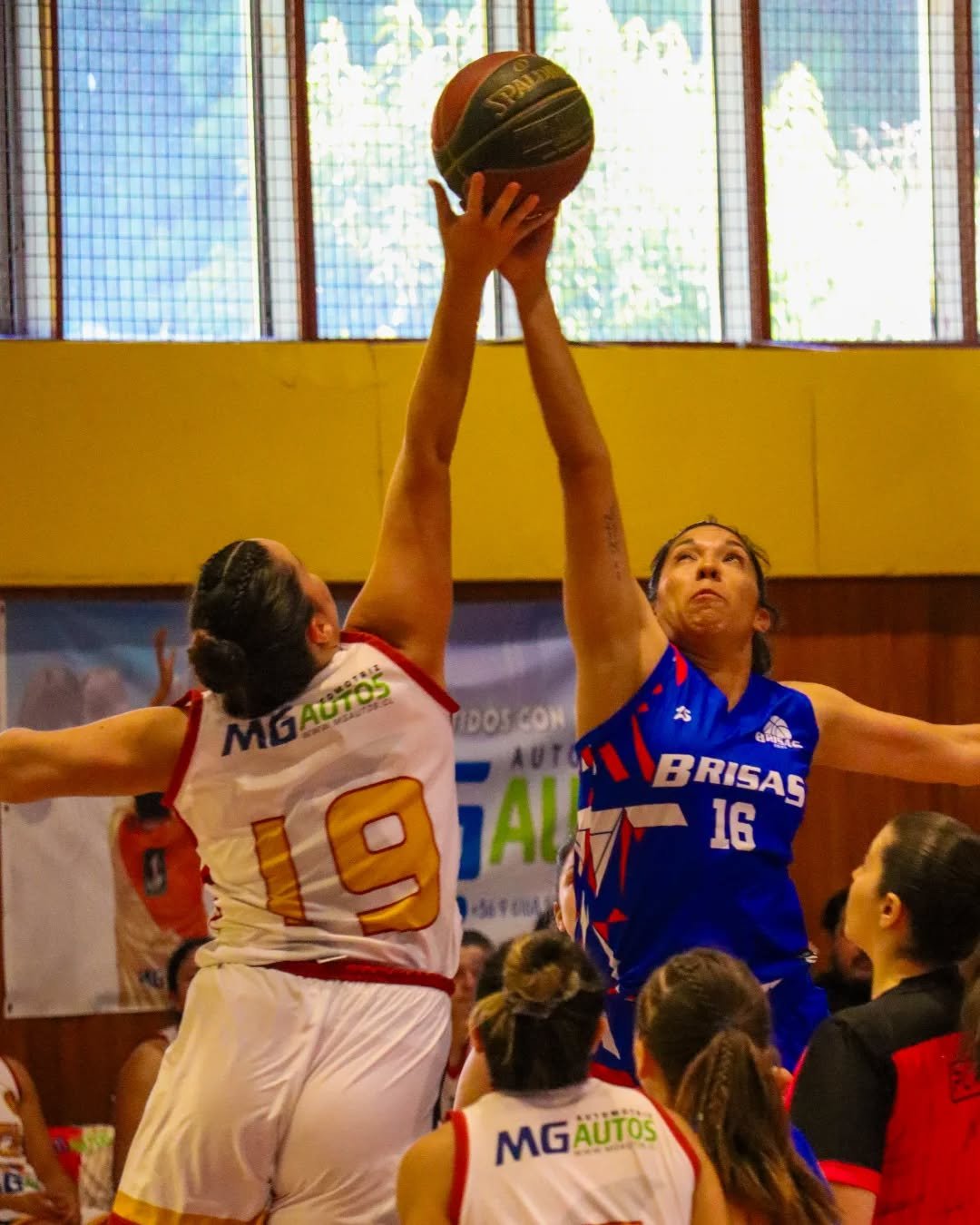 𝙀𝙣𝙩𝙧𝙚𝙩𝙞𝙚𝙢𝙥𝙤 𝙚𝙣 𝙚𝙡 𝙏𝙚𝙟𝙖 𝟭 🕐
Las ping&uuml;inas se encuentran abajo en el marcador por 27 a 33 🏀

&harr;️ Ya viene la segunda mitad de la Final Nacional

📸: @nicoaravenam

#VamosPing&uuml;inas