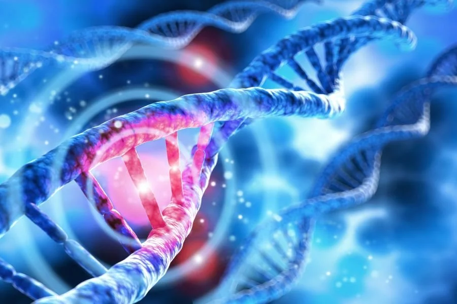 Image of RNA