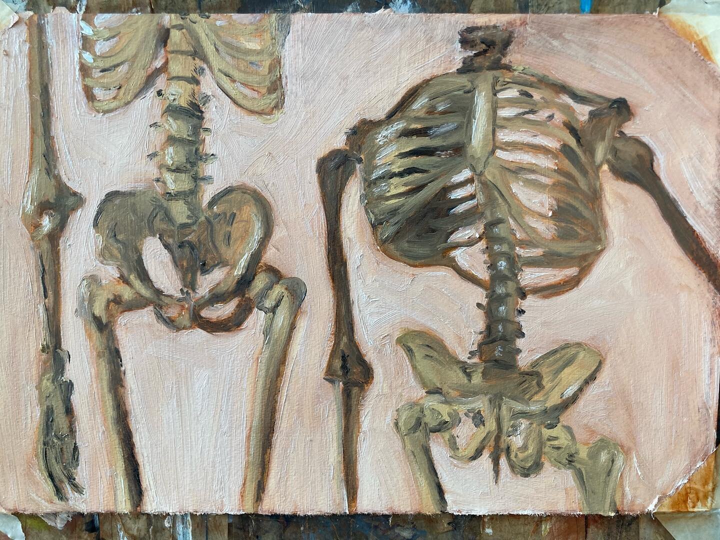 A study of two skeletons. 
Something about this I enjoyed, having a very specific study of bones but also keeping it stylized and working with color