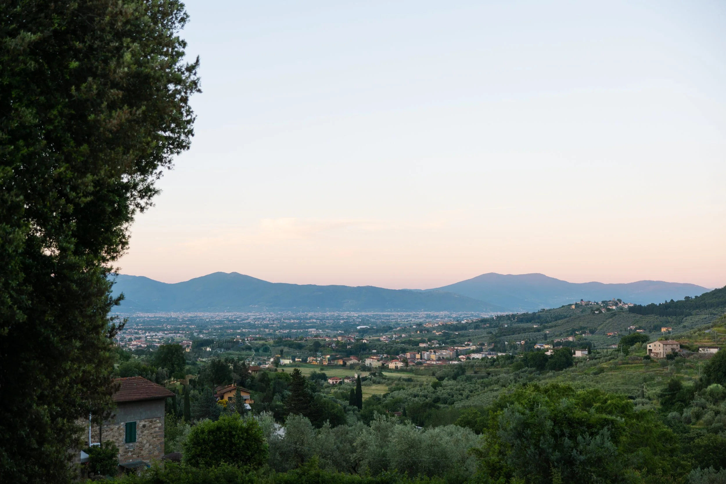 Scenic view of rolling hills and a valley with a cityscape, framed by trees on the left and distant mountains under a pale sky at dusk.