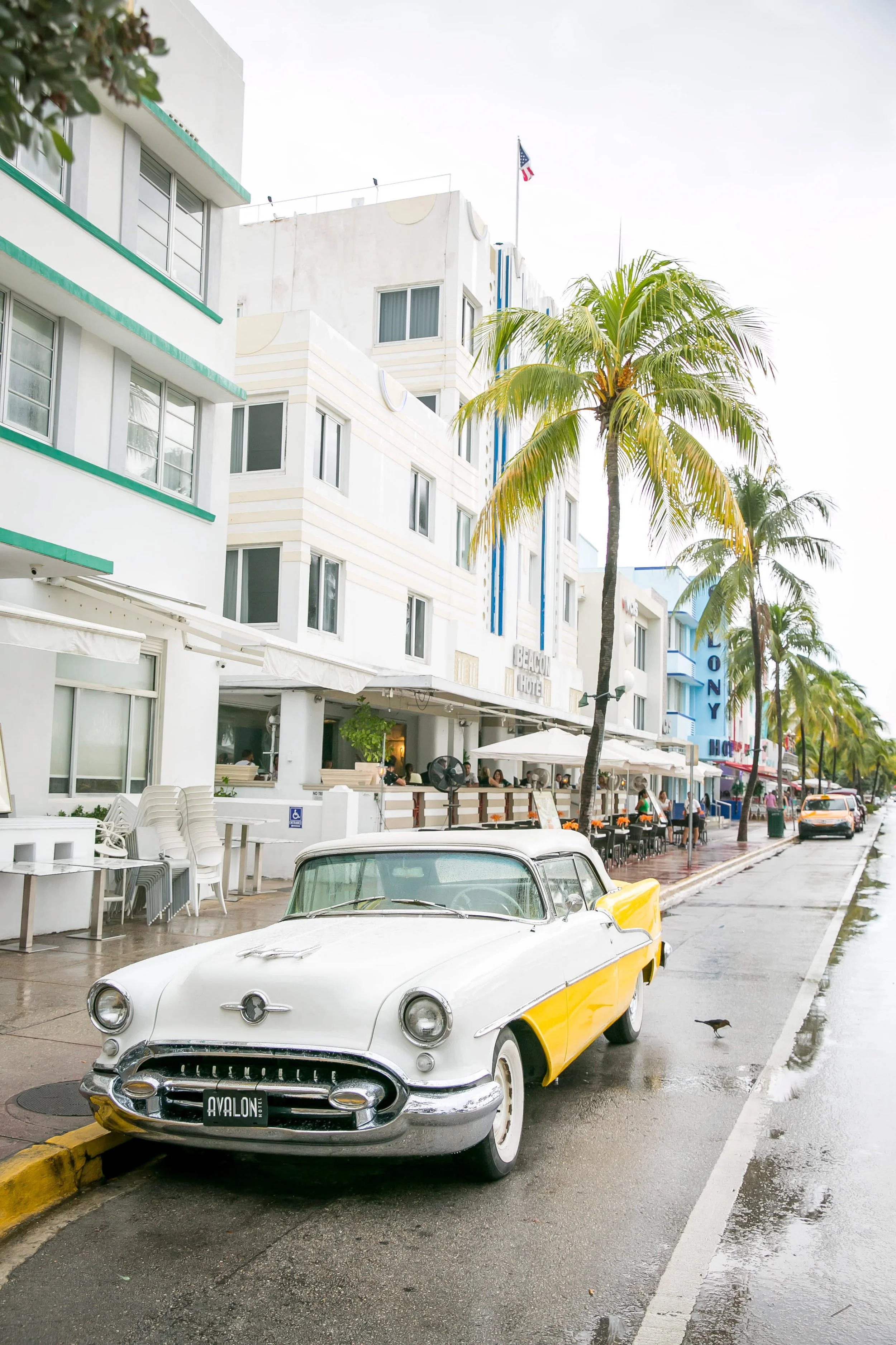 2023 Four Seasons Miami - PPI EMEA Activities-040.jpg