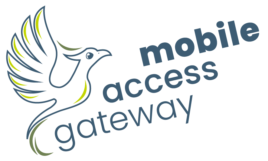 Mobile Access Gateway