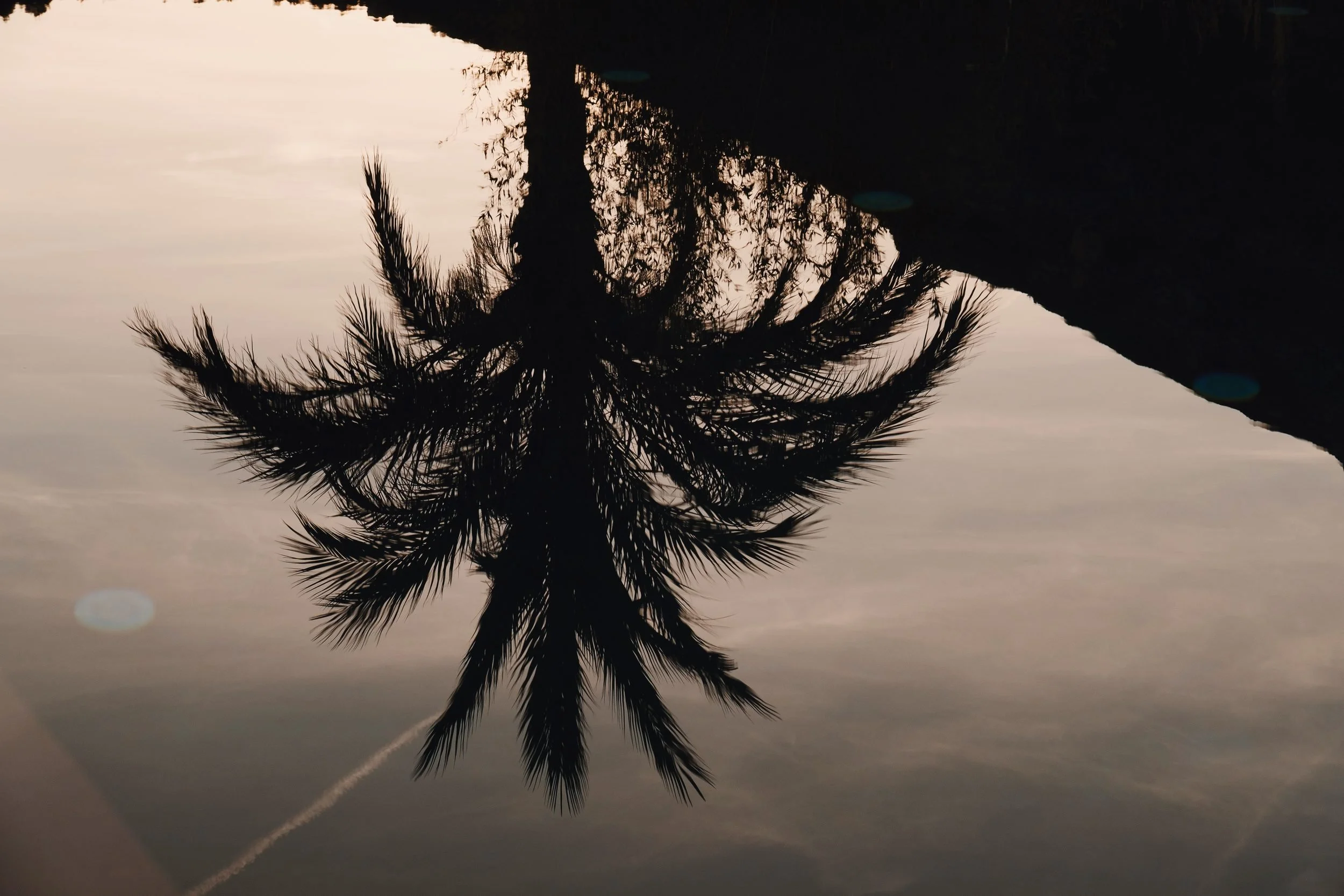 18-raquel-guiu-es-raco-d-arta-mallorca-summer-palm-reflection-dusk.jpg