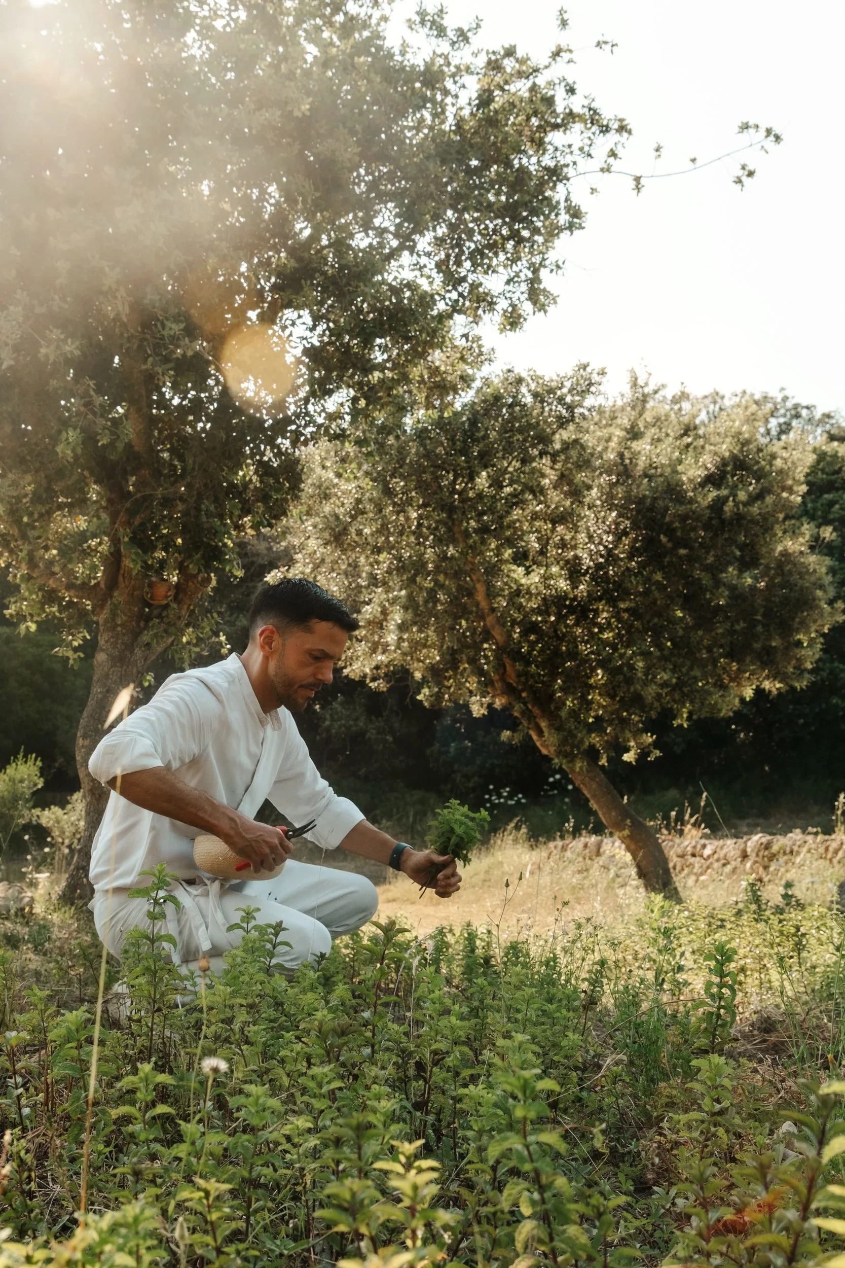 09-raquel-guiu-es-raco-d-arta-mallorca-summer-chef-organic-garden.jpg