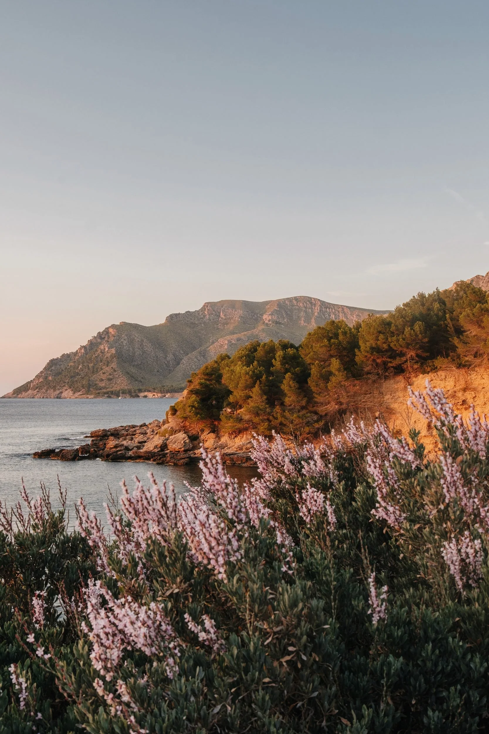 17-raquel-guiu-es-raco-d-arta-mallorca-summer-betlem-coast-wildflowers.jpg