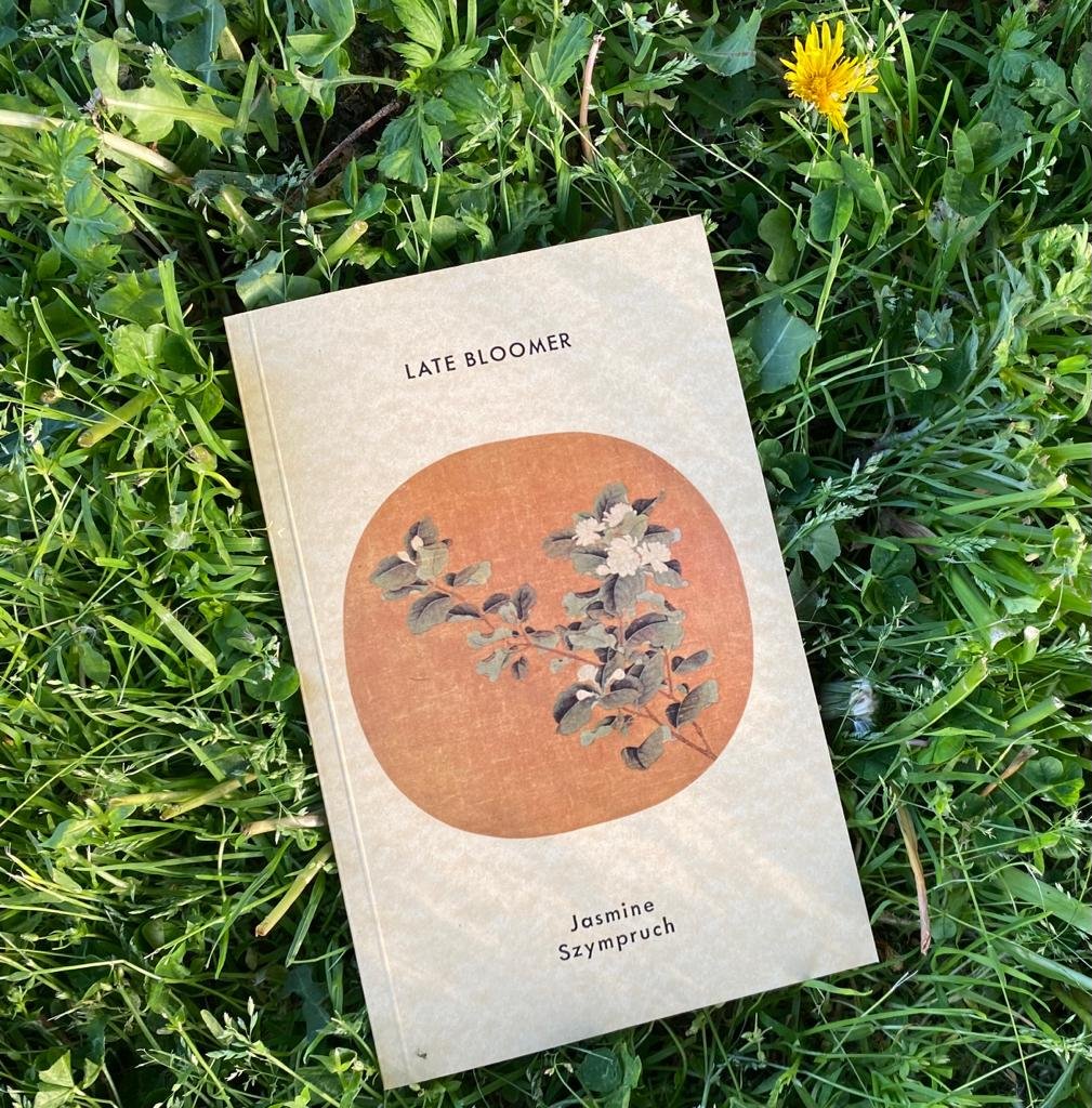 book in grass.jpeg