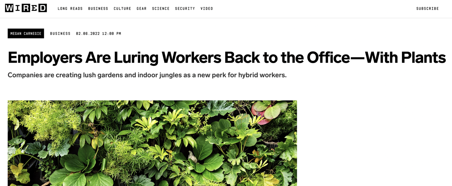 Employers Are Luring Workers Back to the Office—With Plants