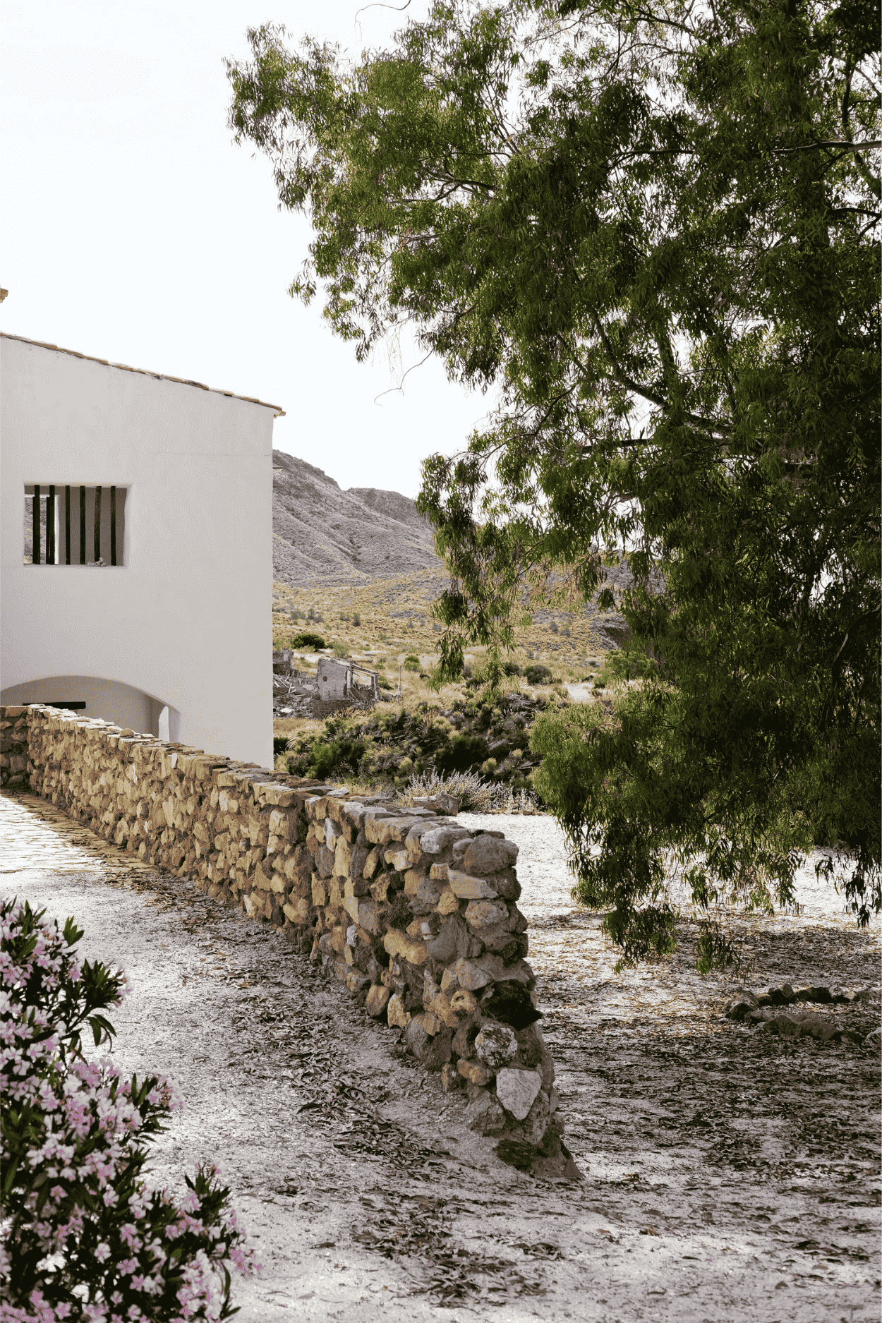 Untitled design (5).png