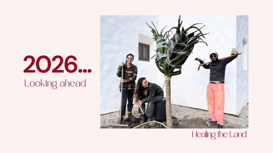 2026 at Oru: Looking Ahead