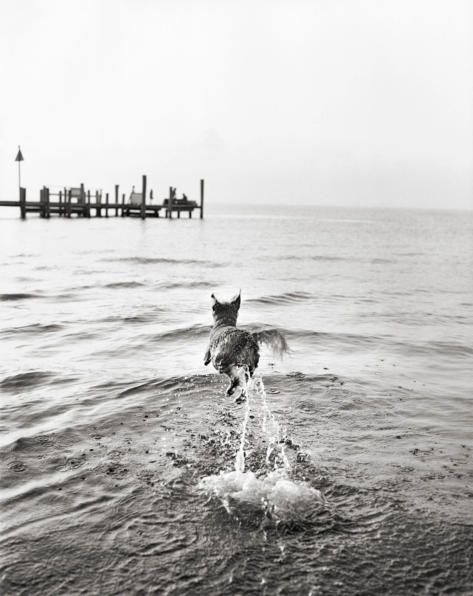HUCK RUNNING INTO WATER Water Island, NY 2008