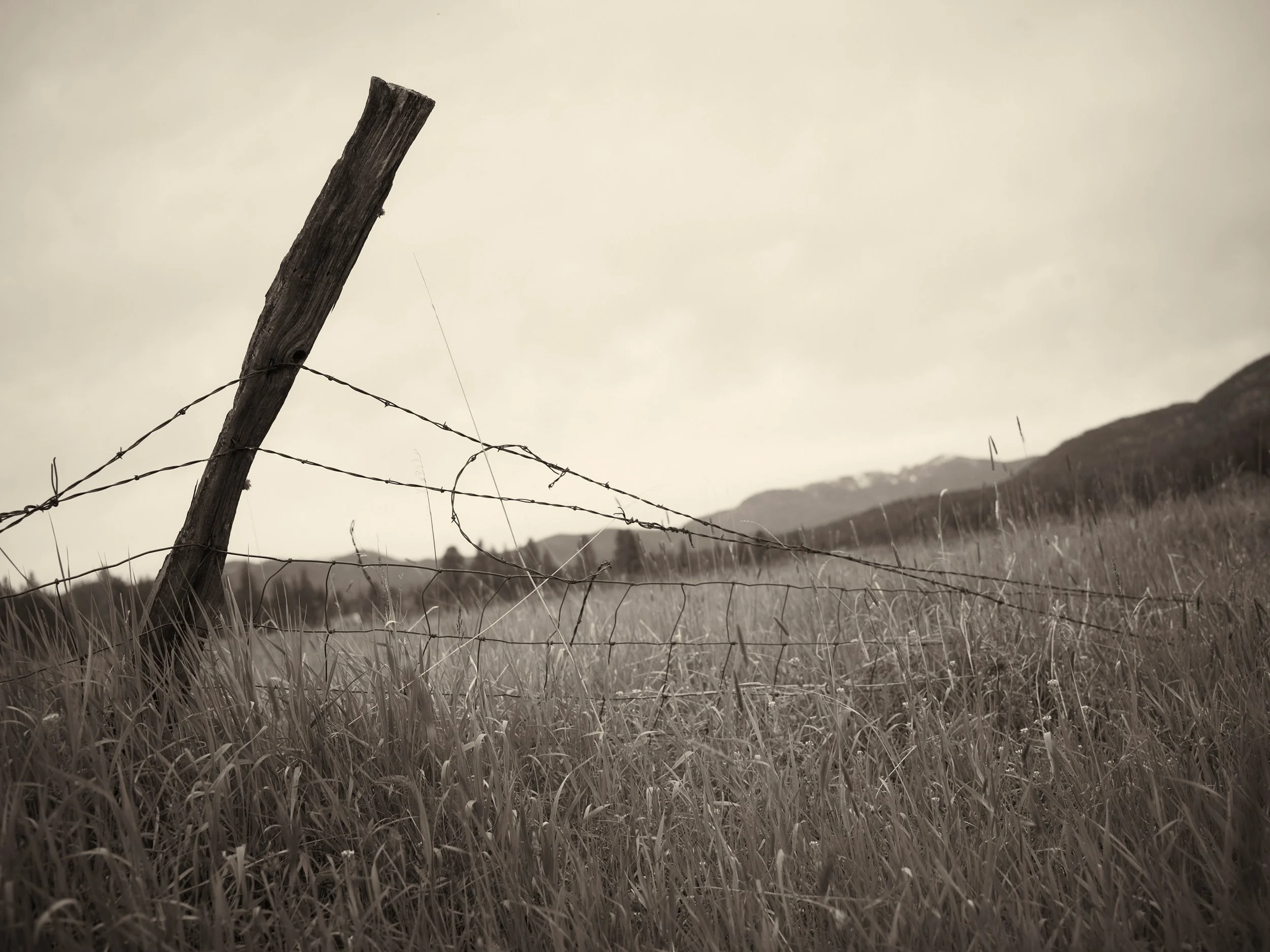 WIRE FENCE GHOSTOWN Montana 2012