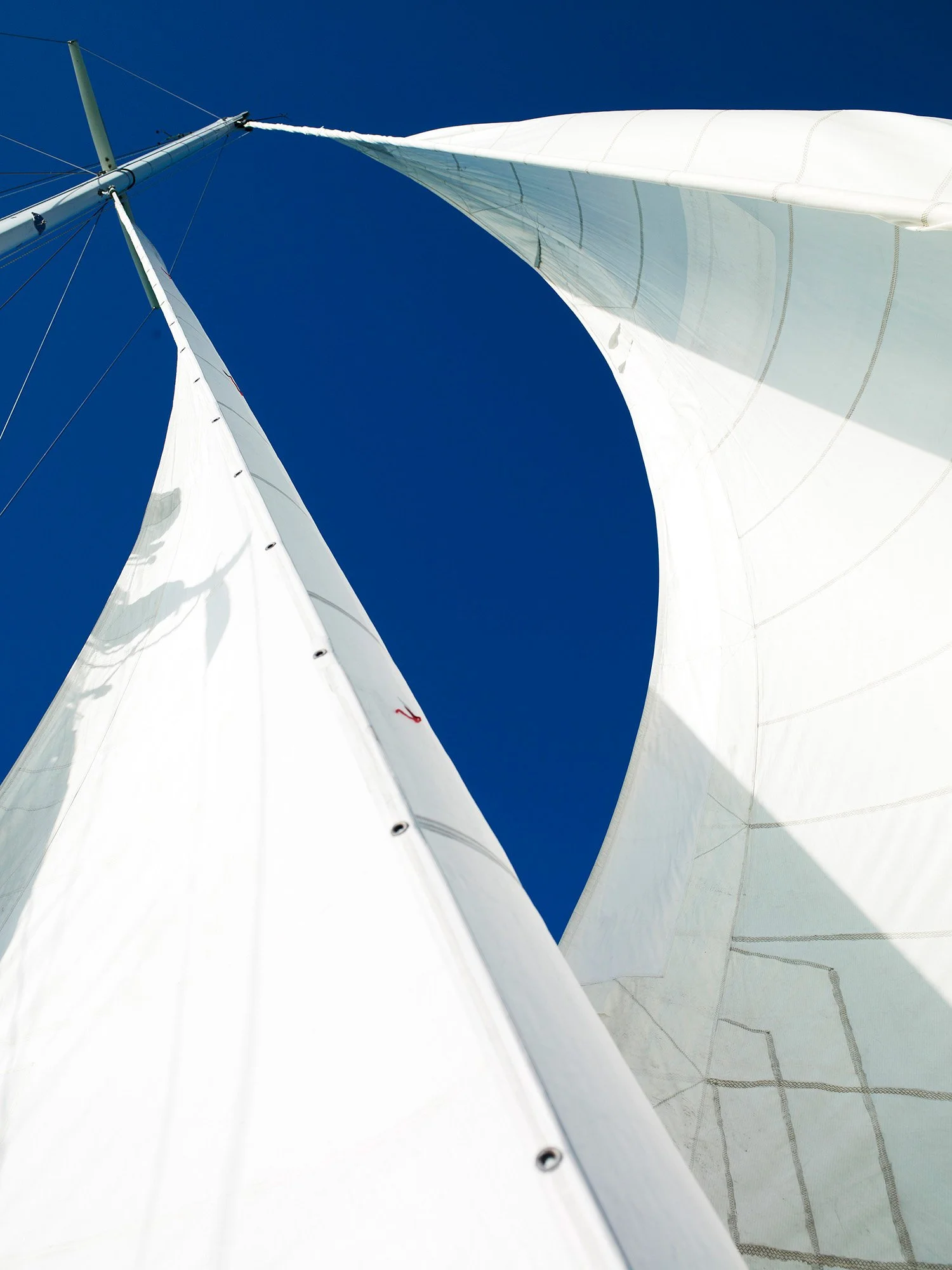 SAIL VIII Bahamas 2013