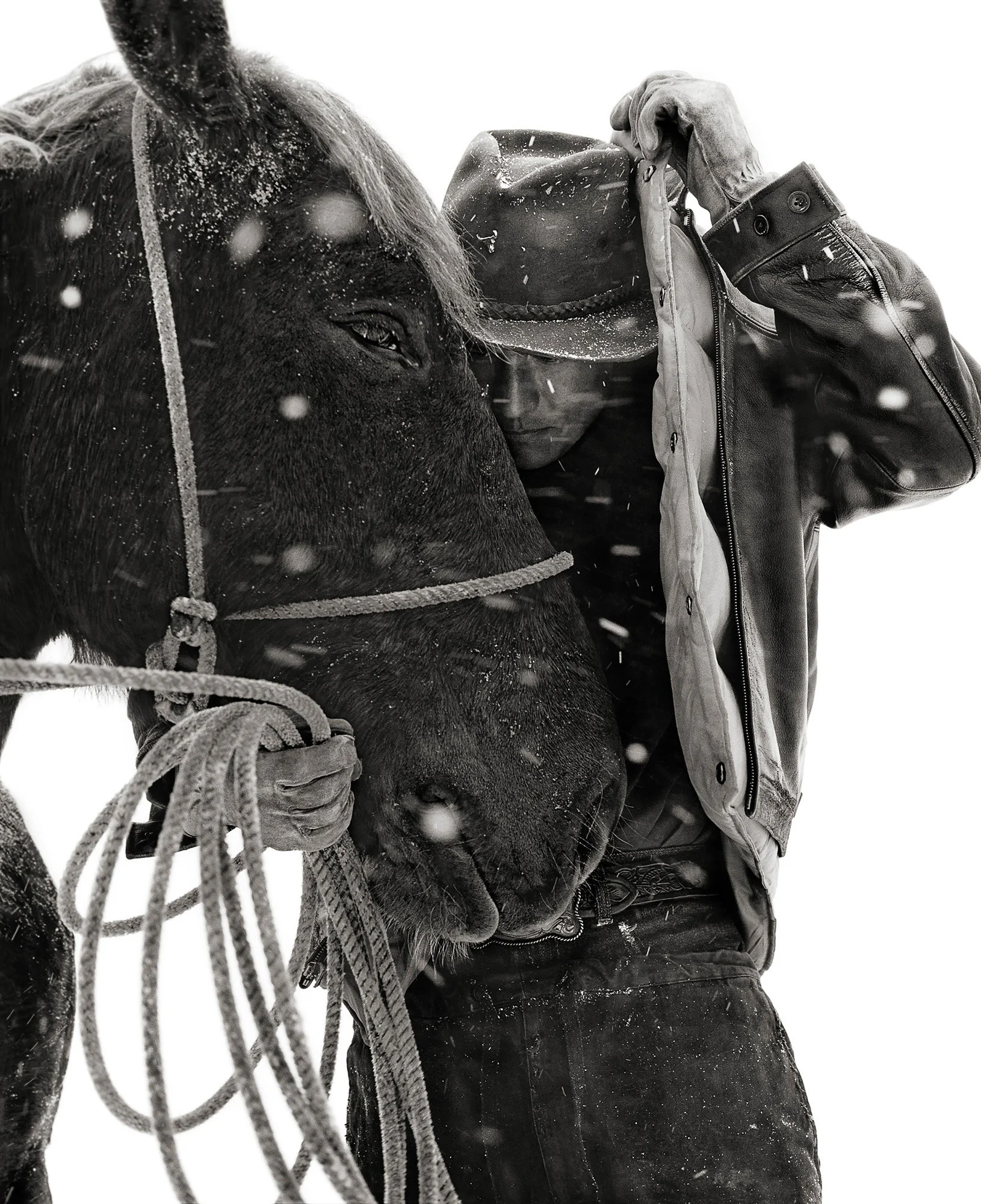 ALEX NUZZLING HORSE Montana 1999