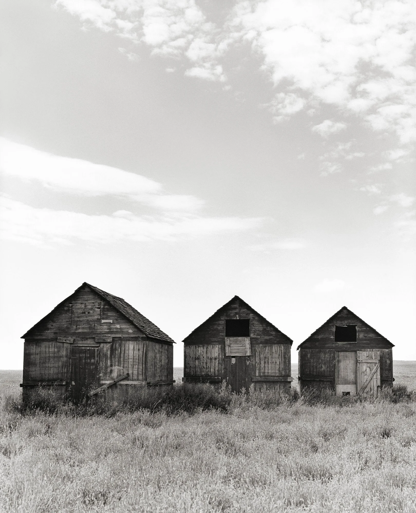 THREE BARNS Alberta 1998