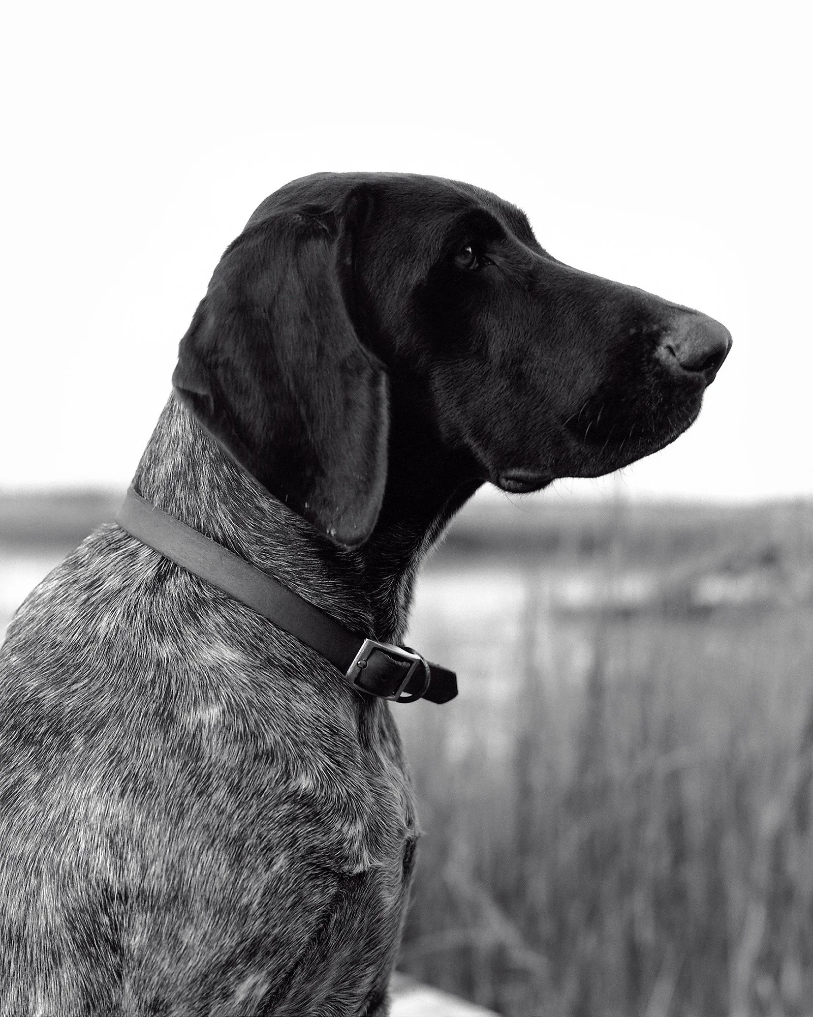 POINTER Massachusetts 2007