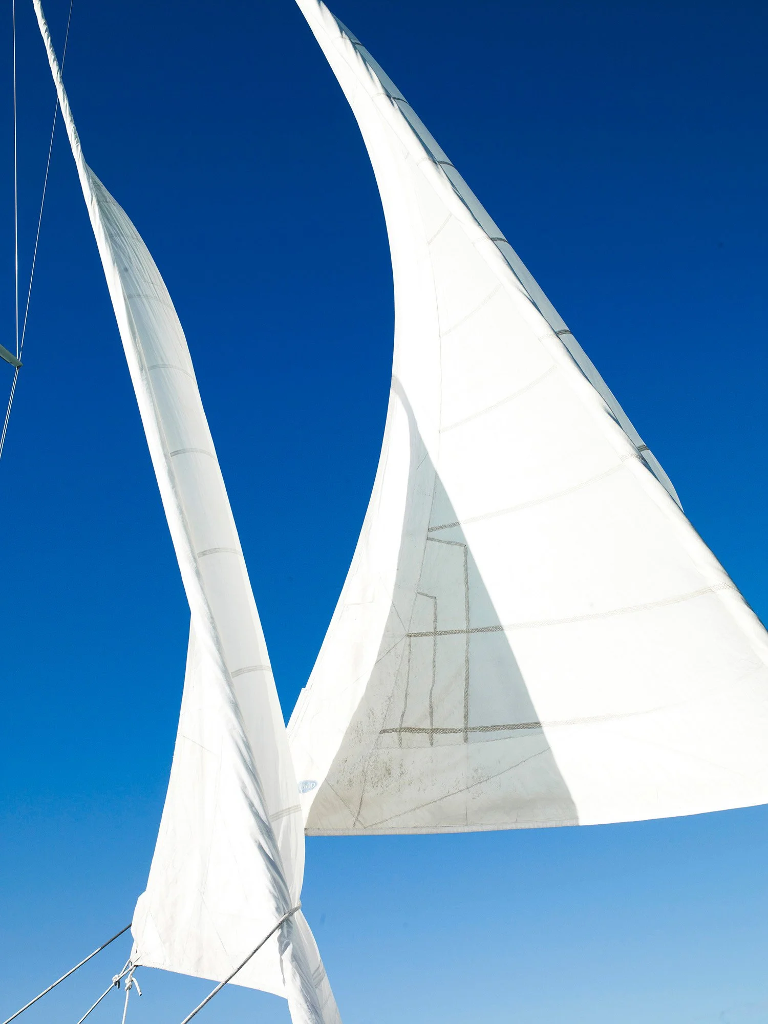 SAIL X Bahamas 2013