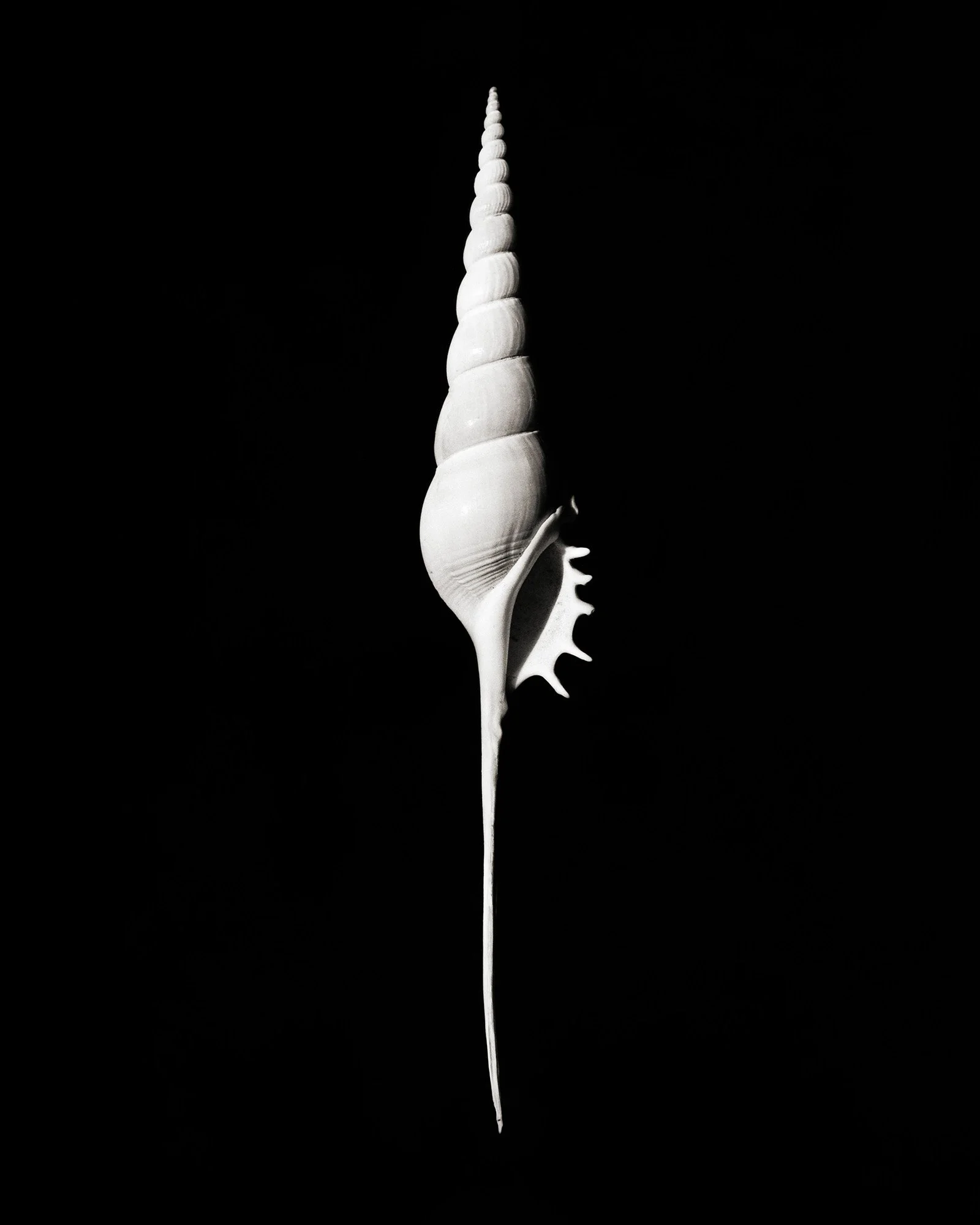 SHELL I Water Island, NY 2007