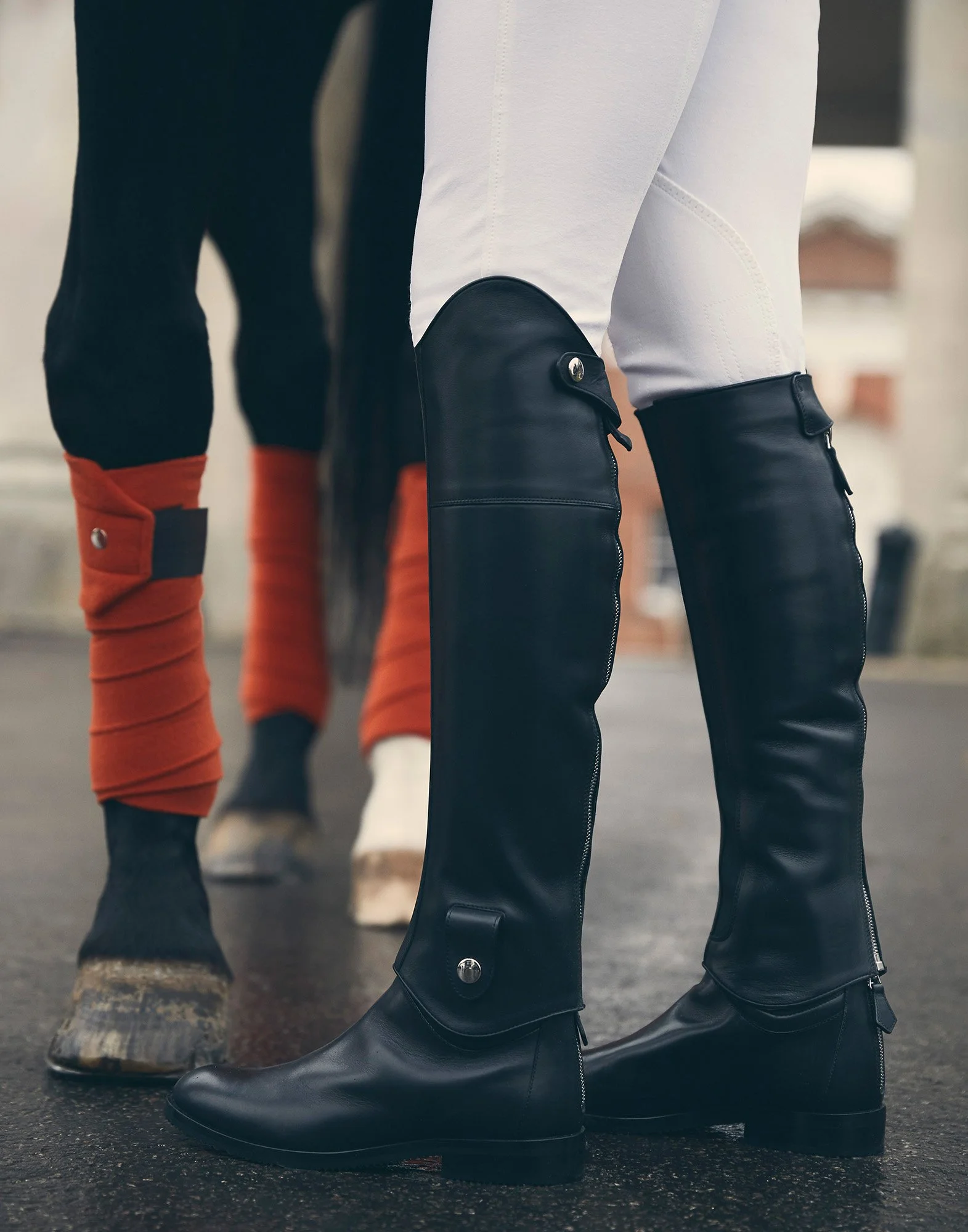 HORSE LEGS & BOOTS Goodwood, England 2016