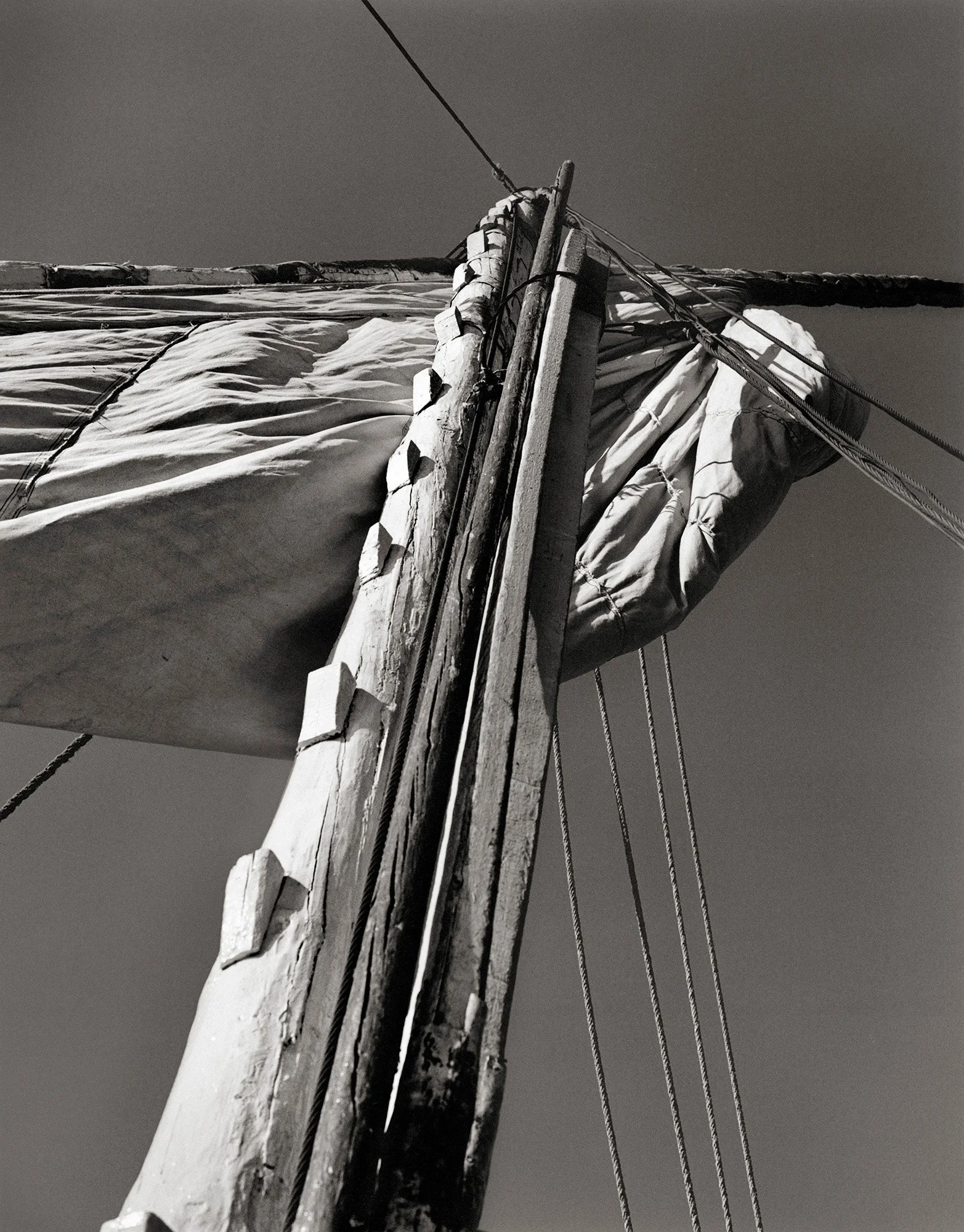 FALUCCA MAST Egypt 2004