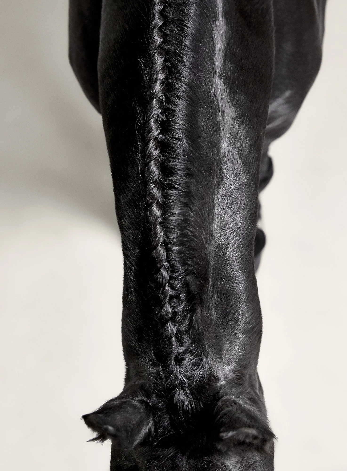 TEAKE’S BRAIDED NECK London 2020