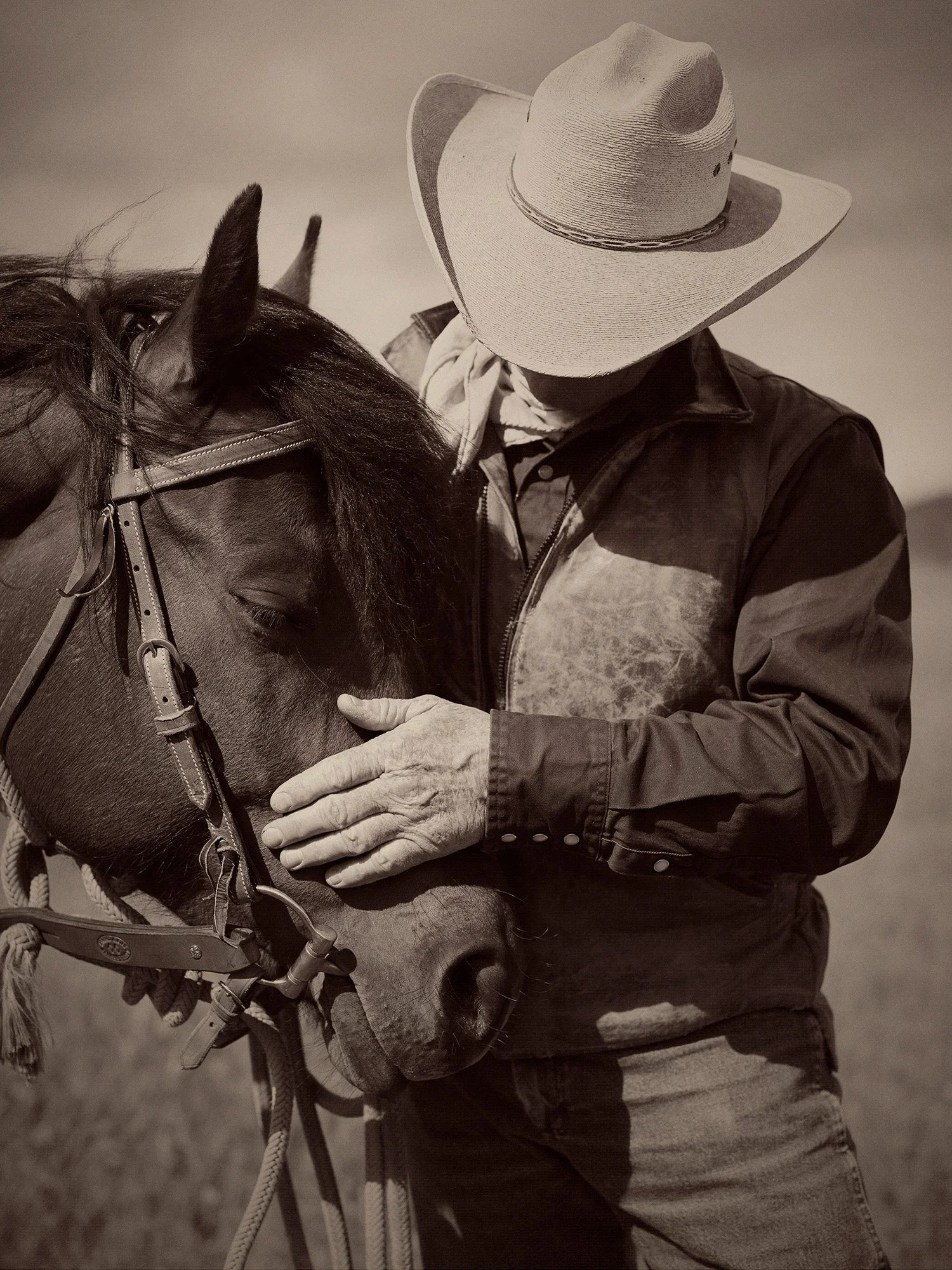 COWBOY WITH HORSE Montana 2012