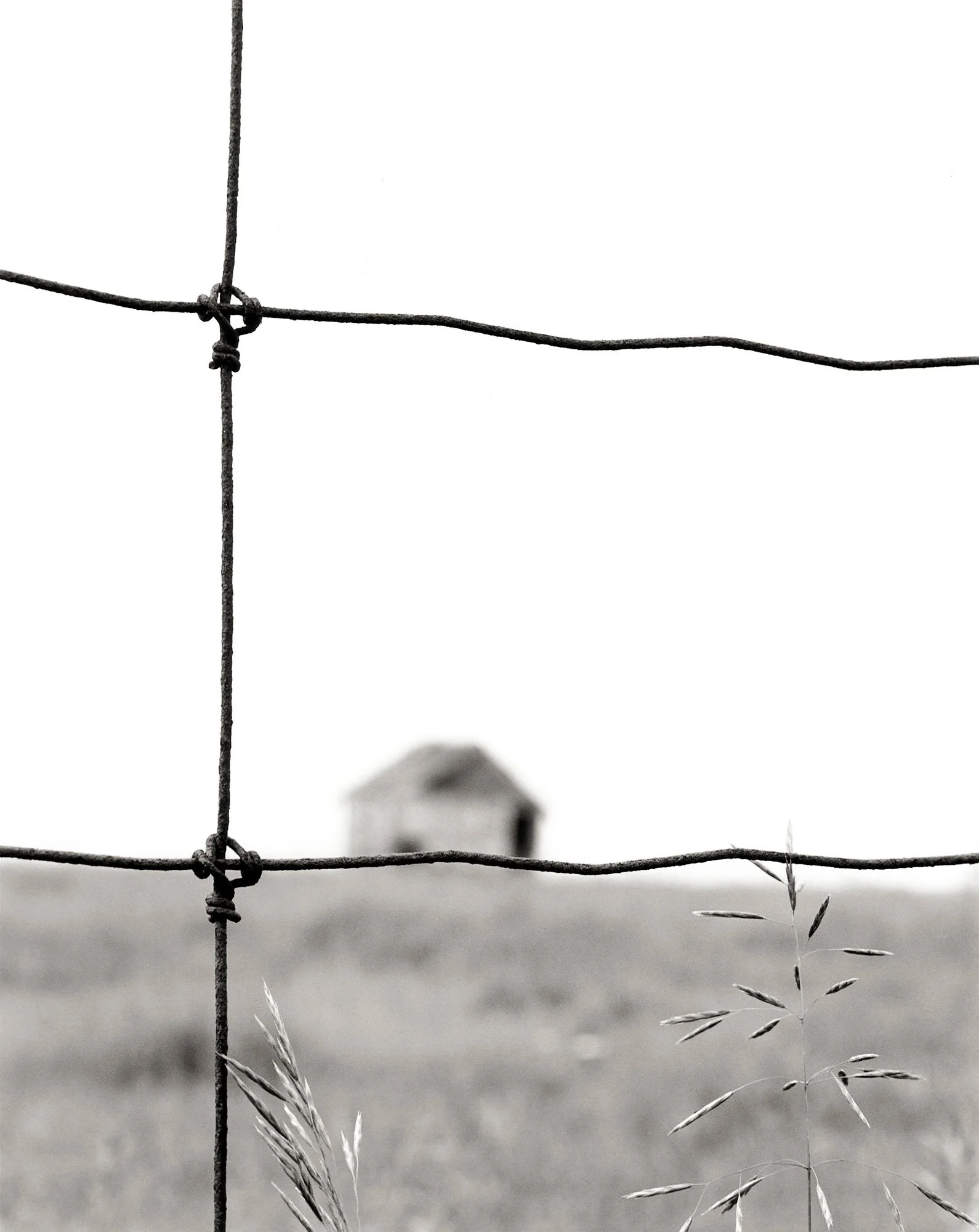 WIRE FENCE Alberta 1998