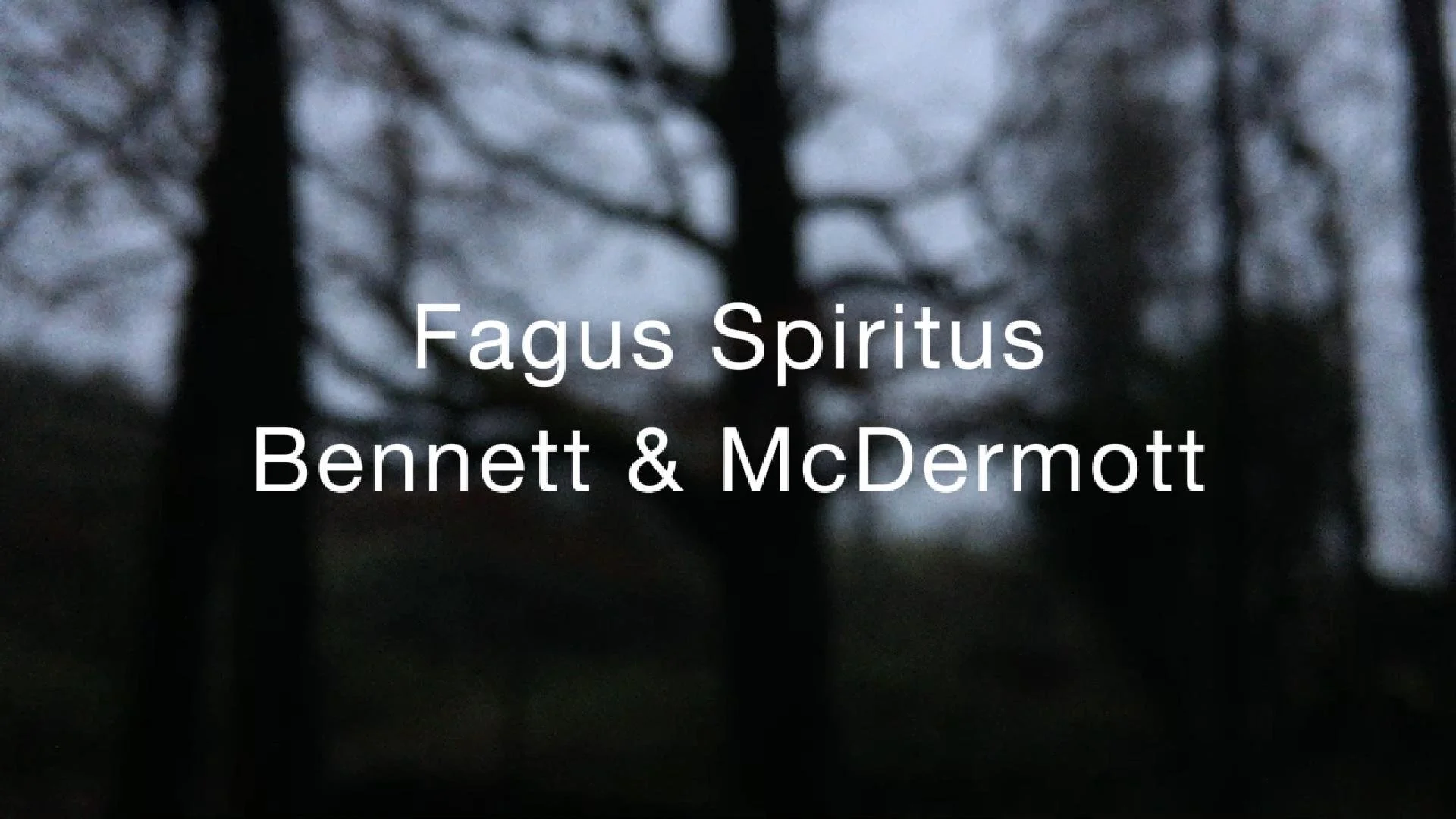 Fagus Spiritus-Cover.jpg