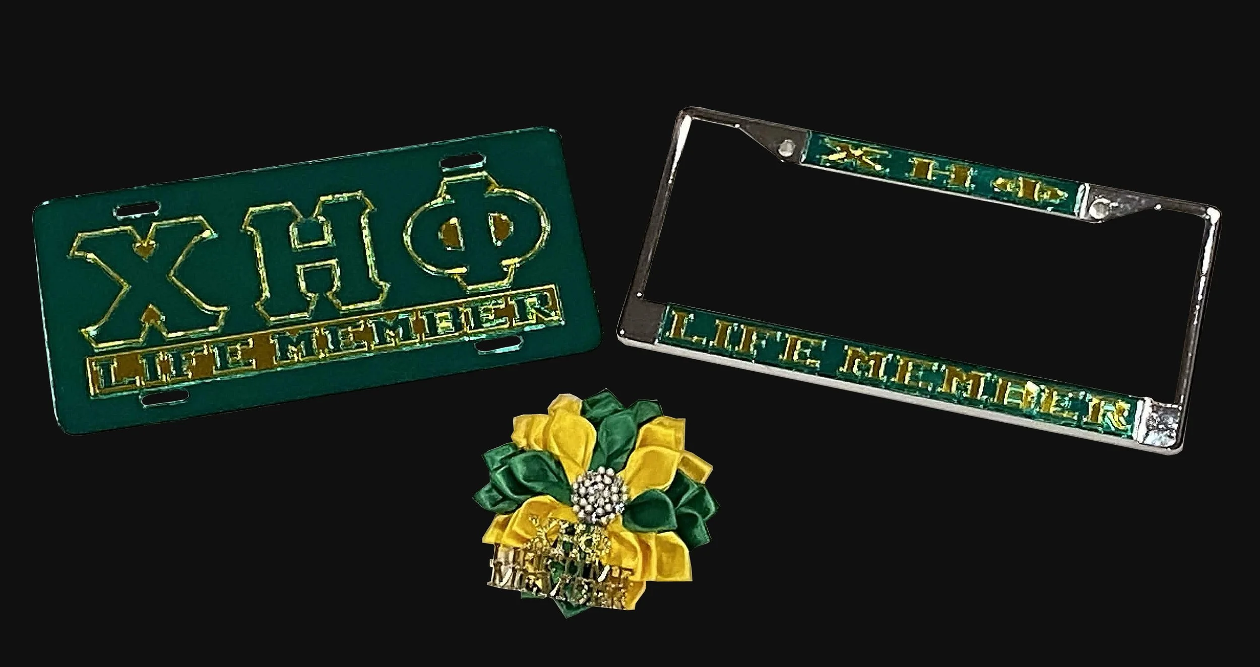 Life member Plate + Frame + Pin (1).jpg