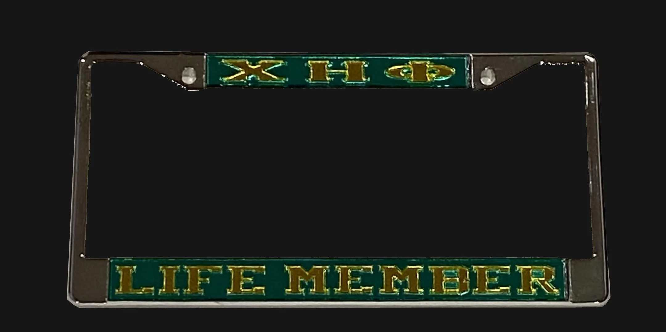 Life member frame 2.jpg