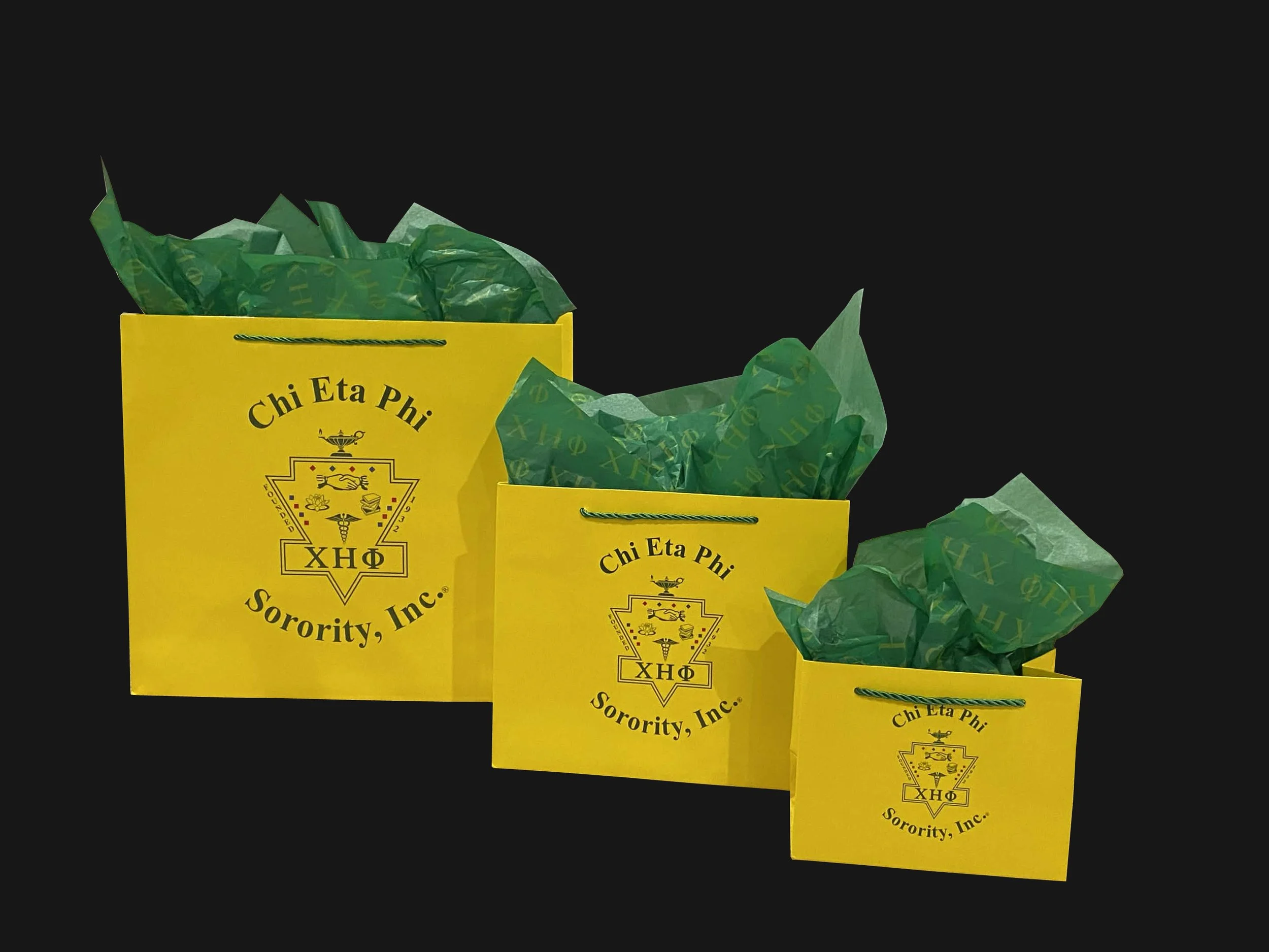 Chi Eta Phi Gift Bag Set with Decorative Tissue Paper