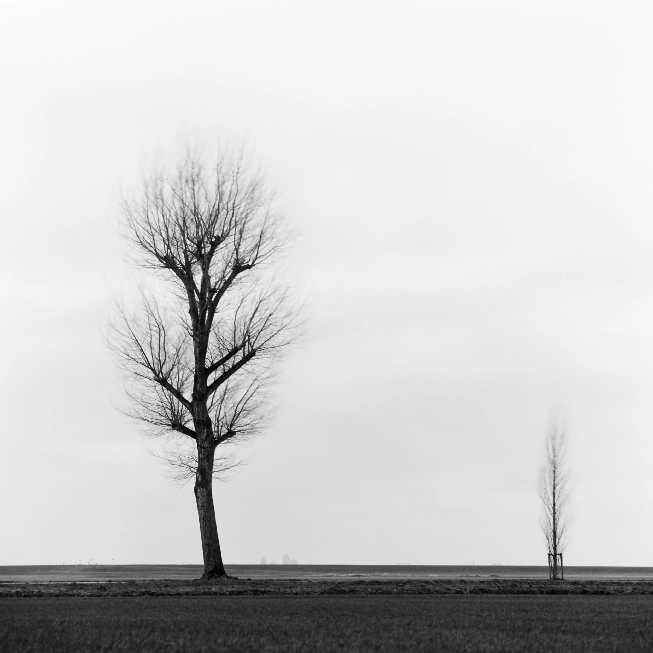 Oostvaardersdijk, Almere, Netherlands, 2023