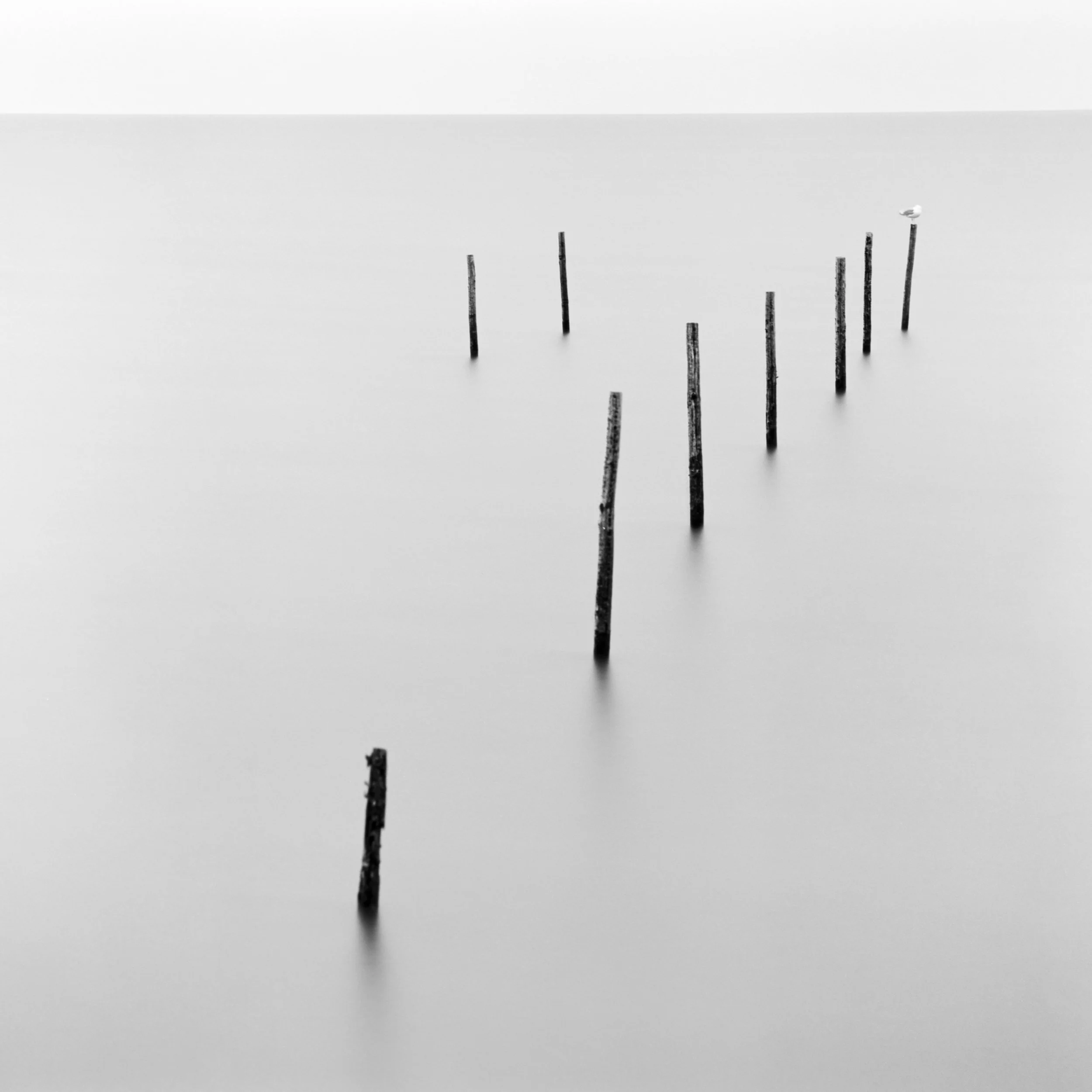 Markerstrekdam, Lelystad, Netherlands, 2023