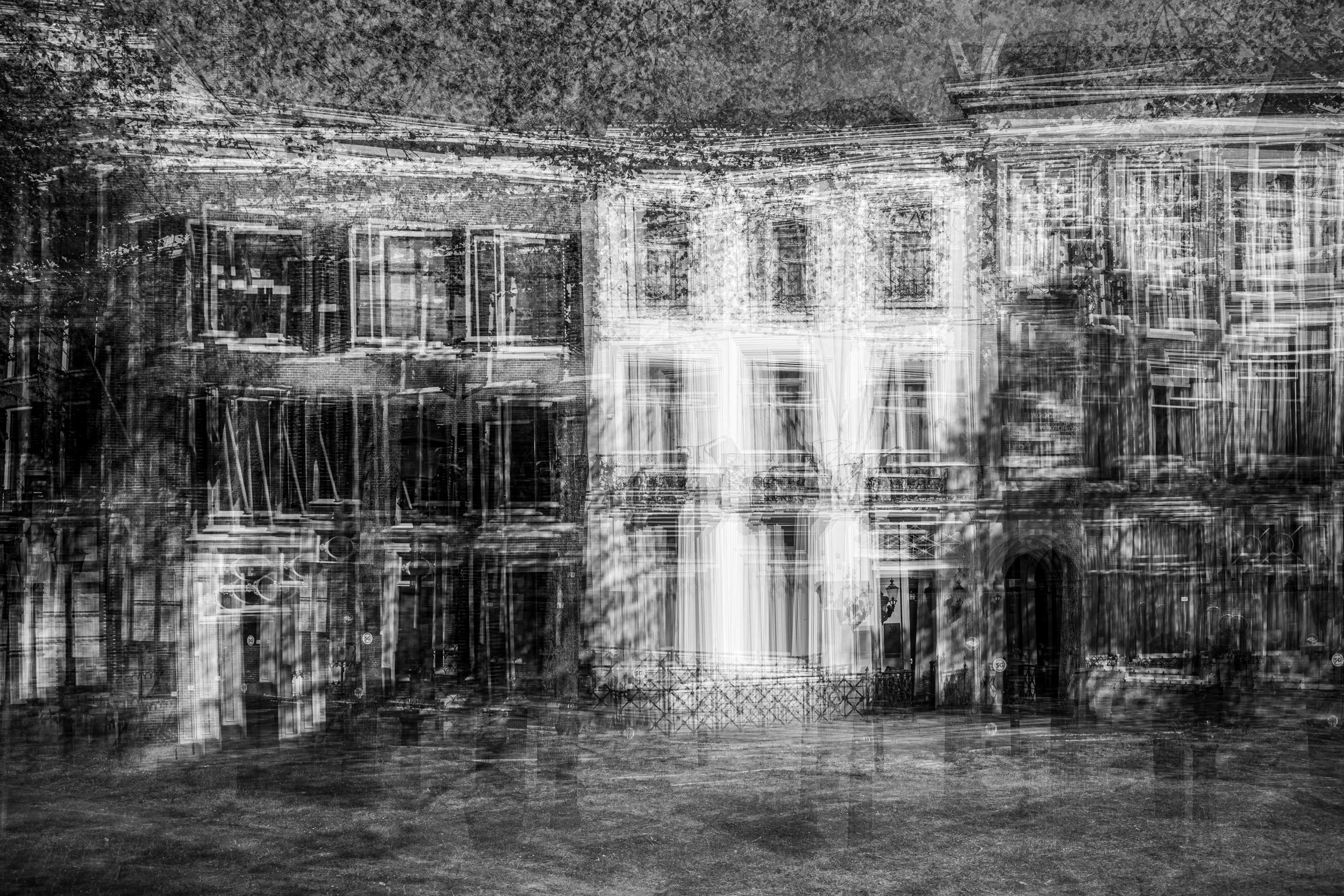 Lange Voorhout, The Hague, Netherlands, 2020