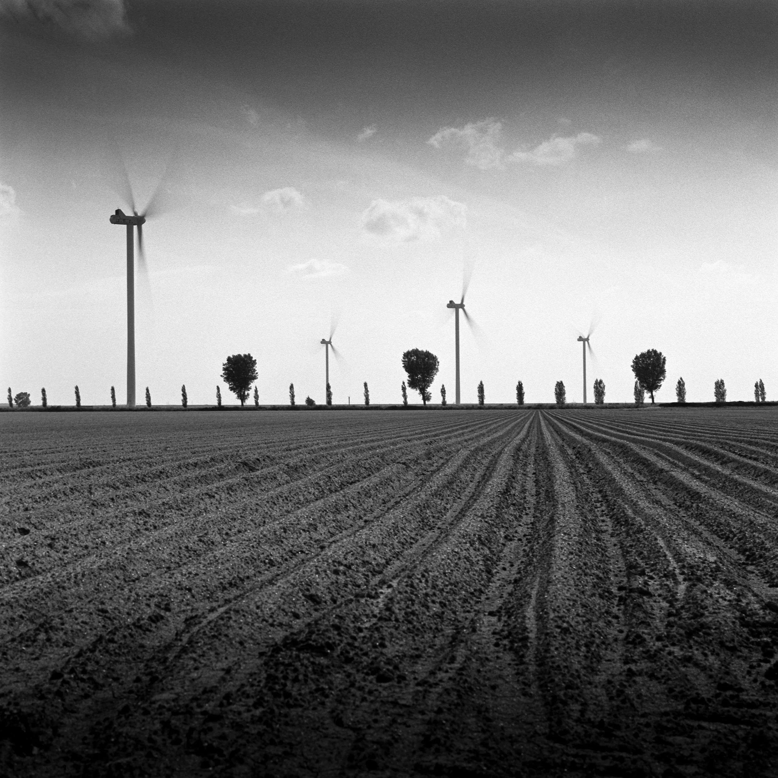 Oostvaardersdijk, Almere, Netherlands, 2024