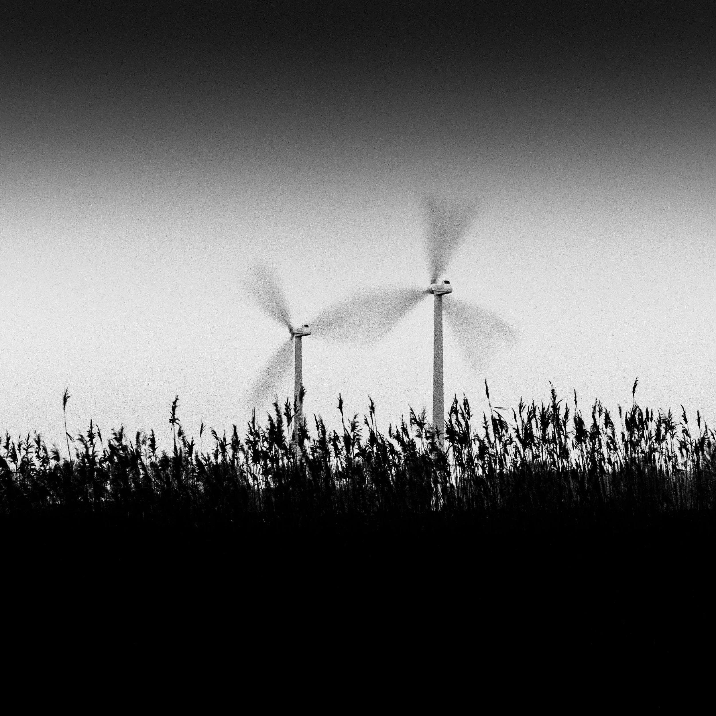 Zeewolde, Netherlands, 2023