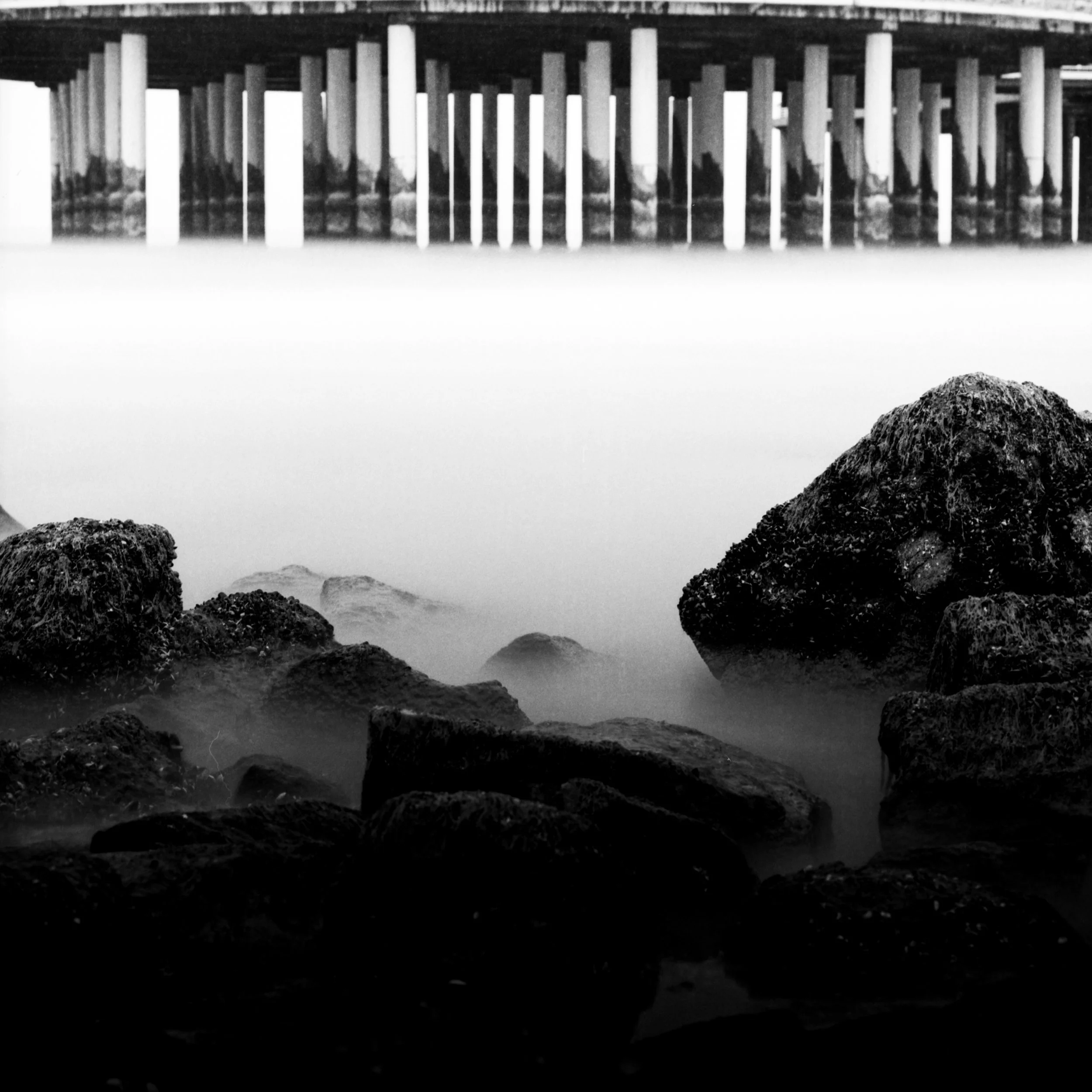 Noorderstrand, The Hague, Netherlands, 2023