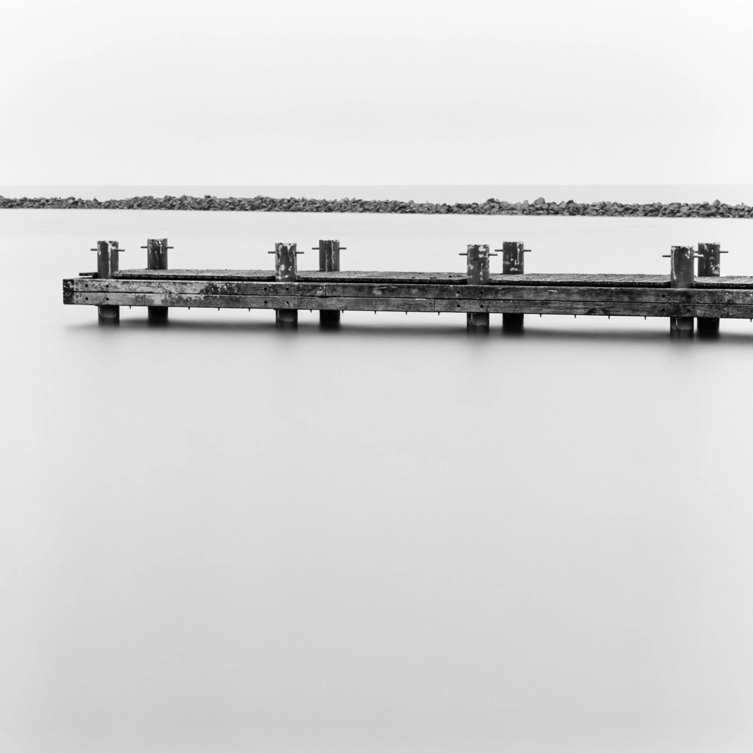 Oostvaardersdijk, Lelystad, Netherlands, 2023