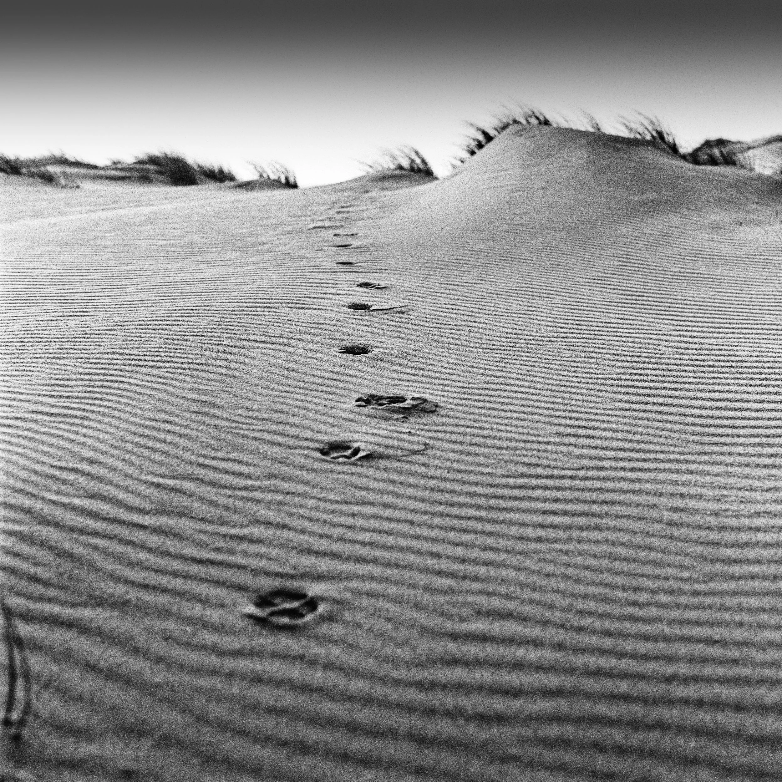 Zandmotor, Ter Heijde, Netherlands, 2023